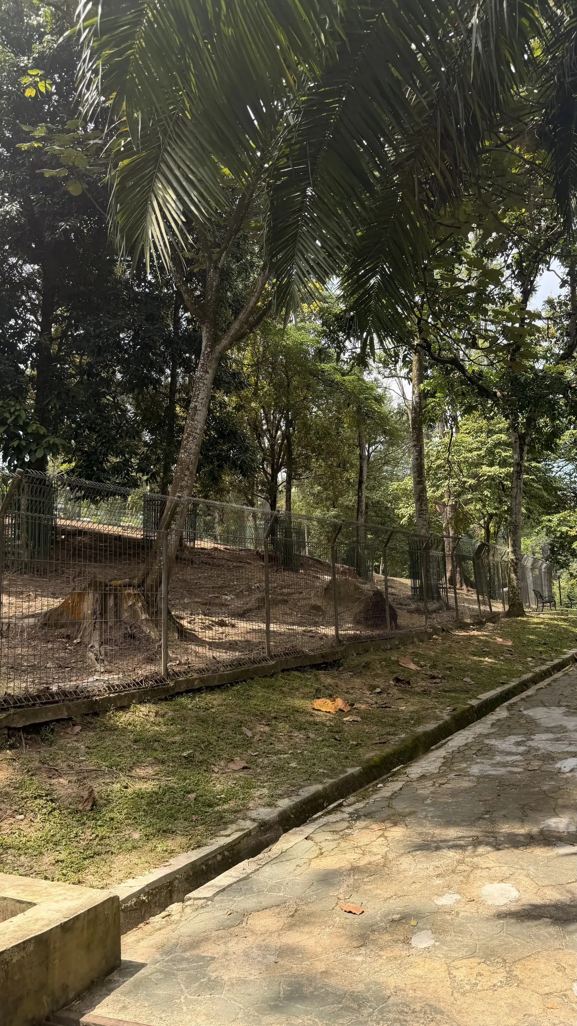 Deer Park