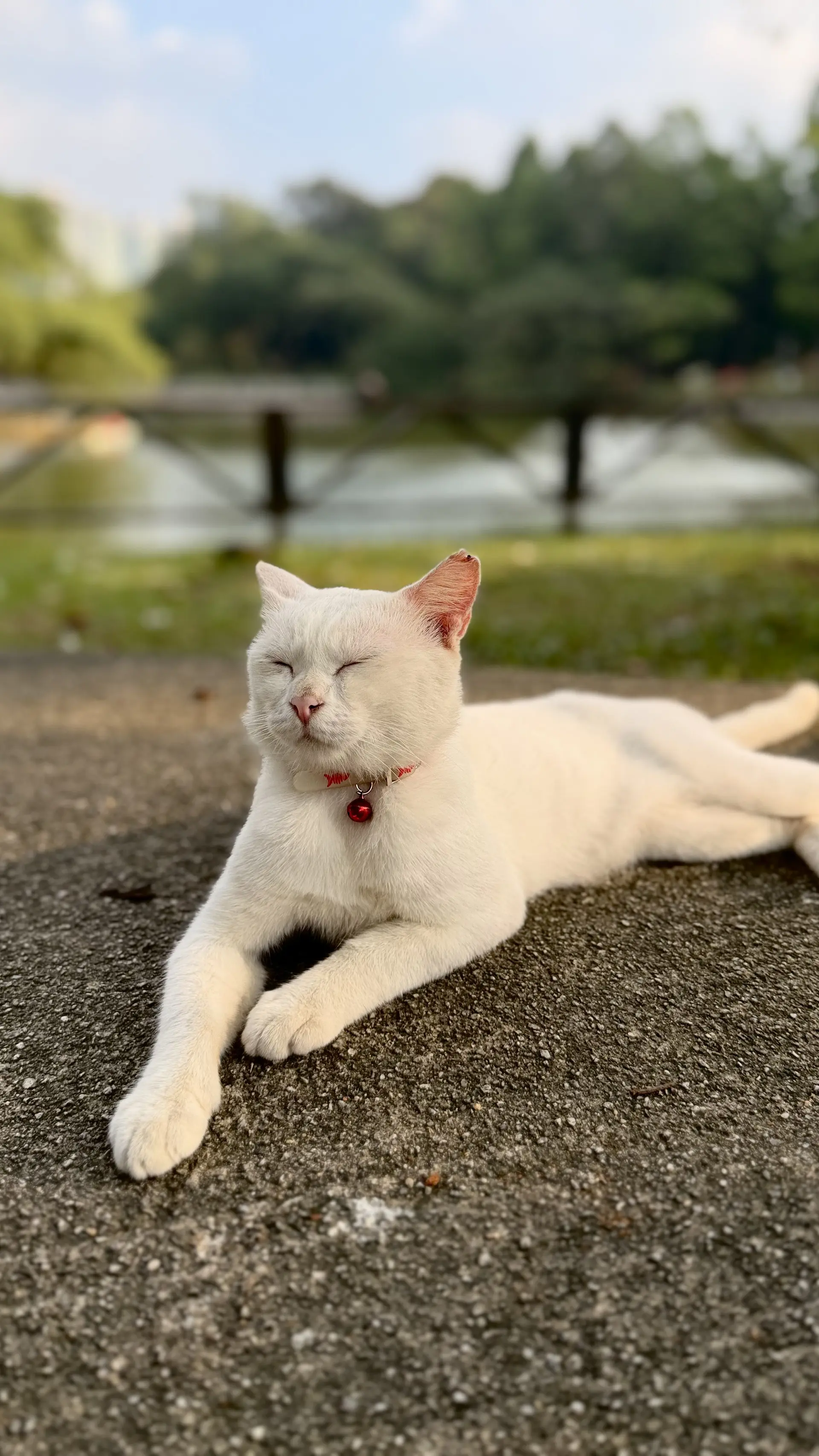 Perdana Botanical Garden - Garden & Park in Kuala Lumpur