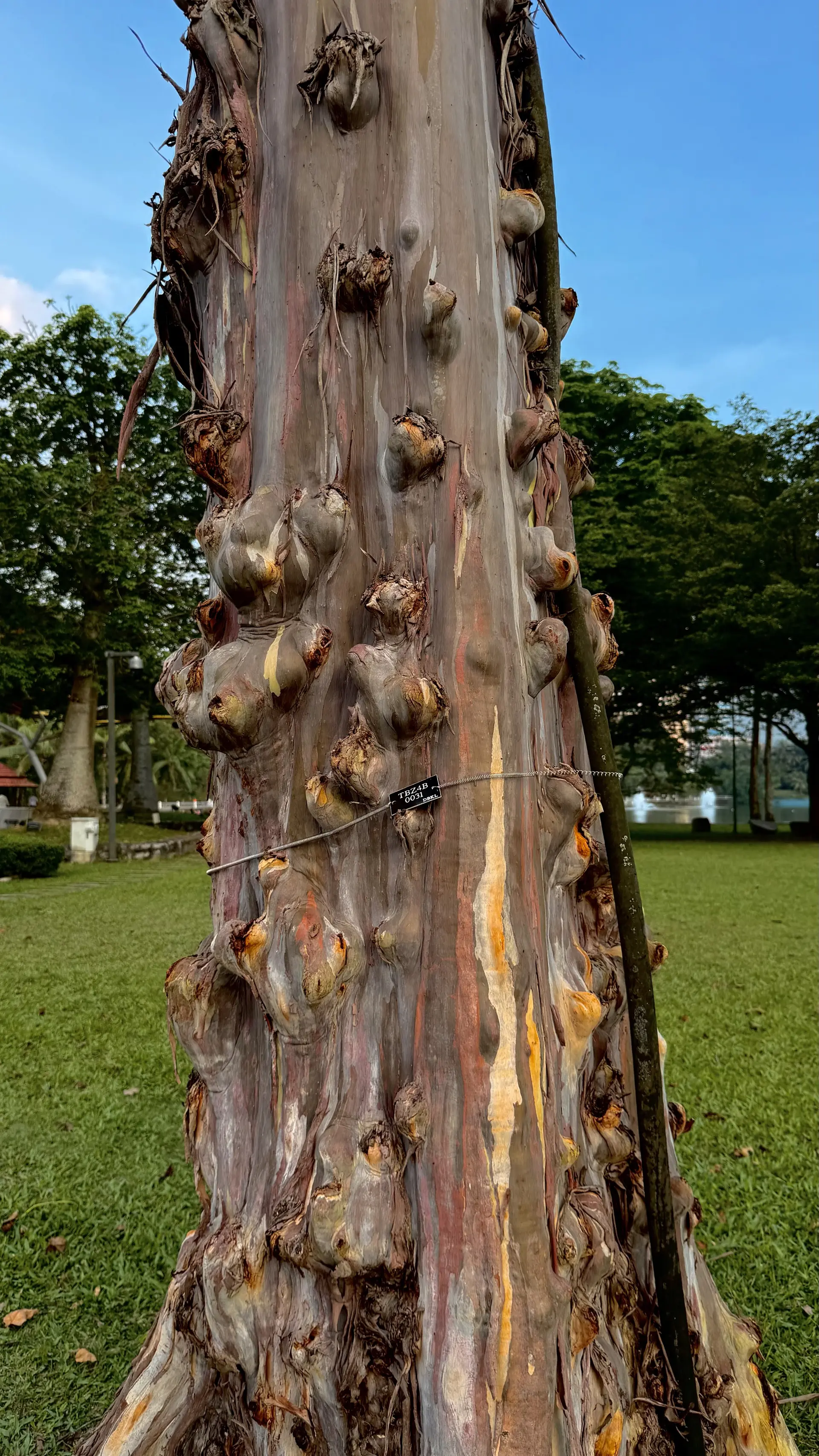 Perdana Botanical Garden - Garden & Park in Kuala Lumpur
