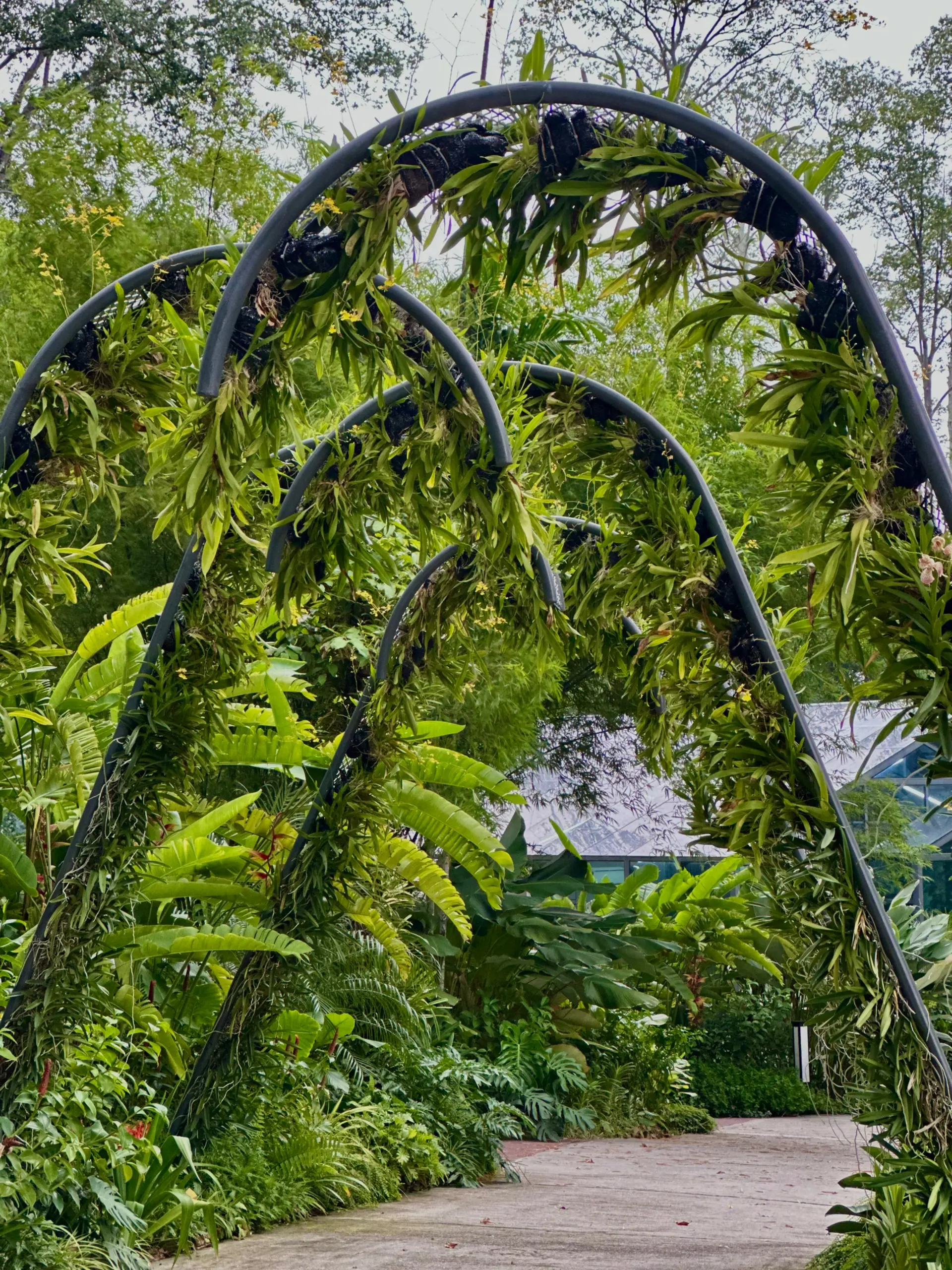 Taman Anggerik Shah Alam - Garden & Park in Shah Alam
