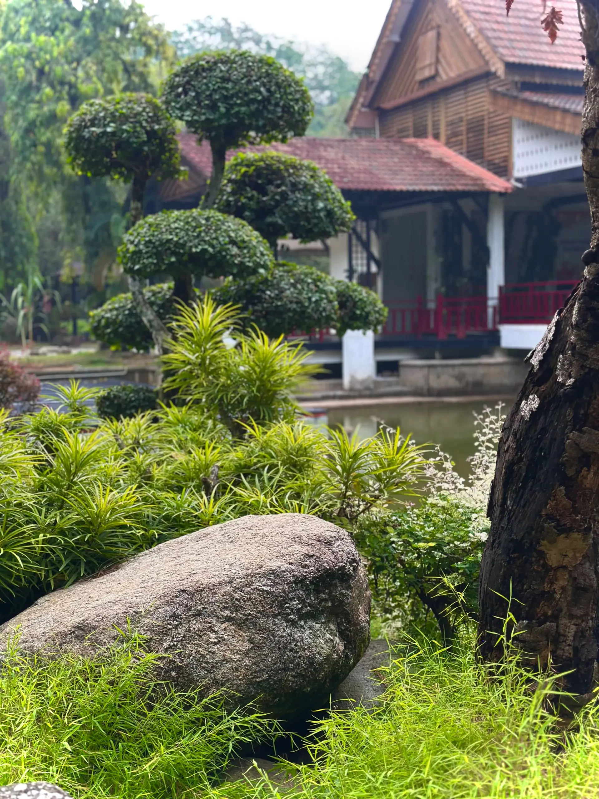 Selangor - Japan Friendship Garden photo 15