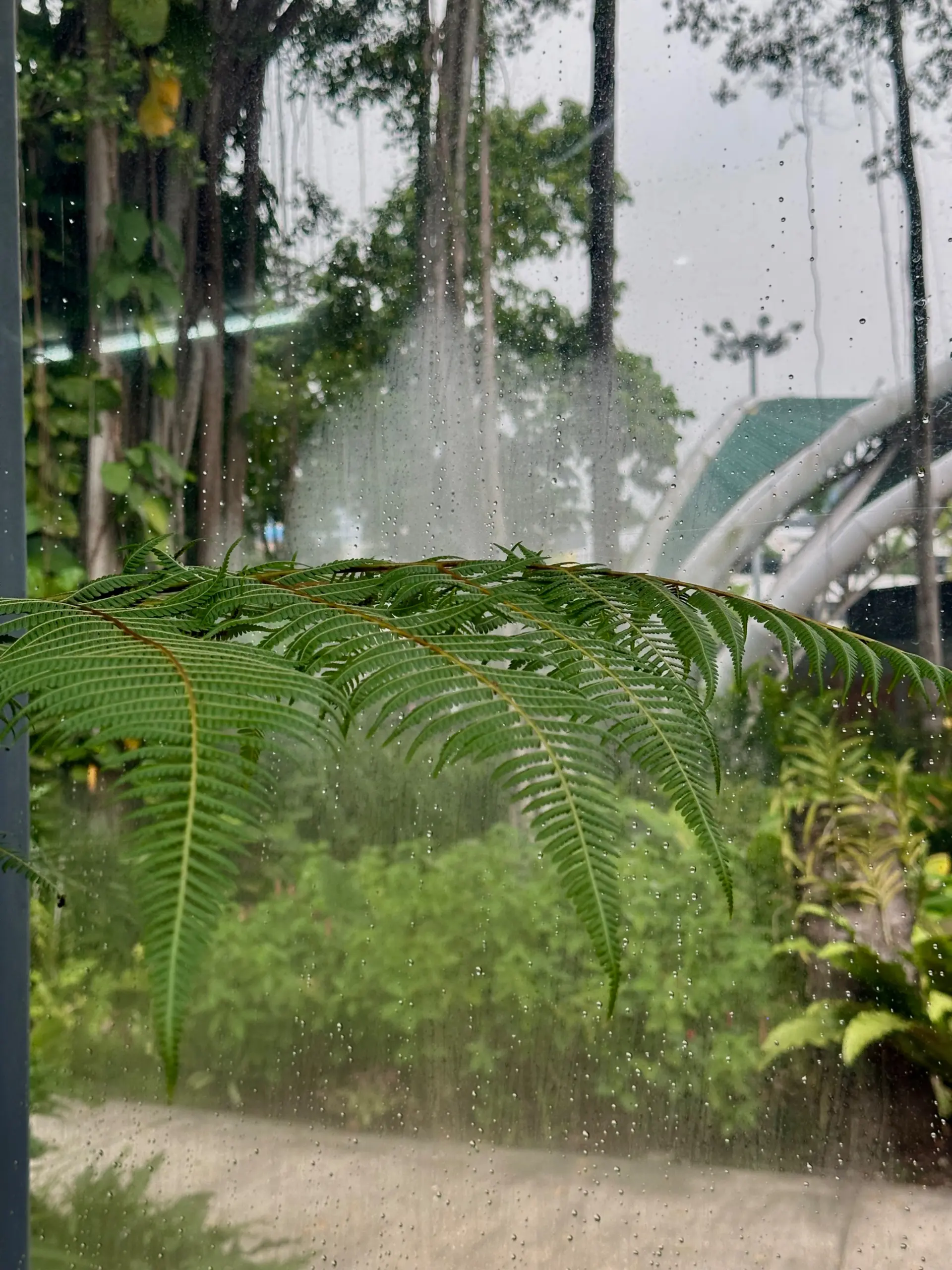 Taman Anggerik Shah Alam - Garden & Park in Shah Alam