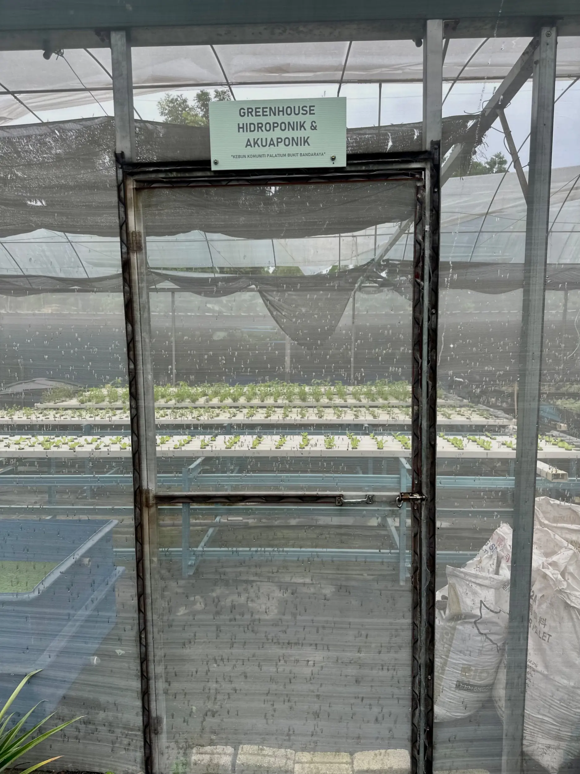 Kebun Komuniti (Palatium Bukit Bandaraya Shah Alam) photo 16