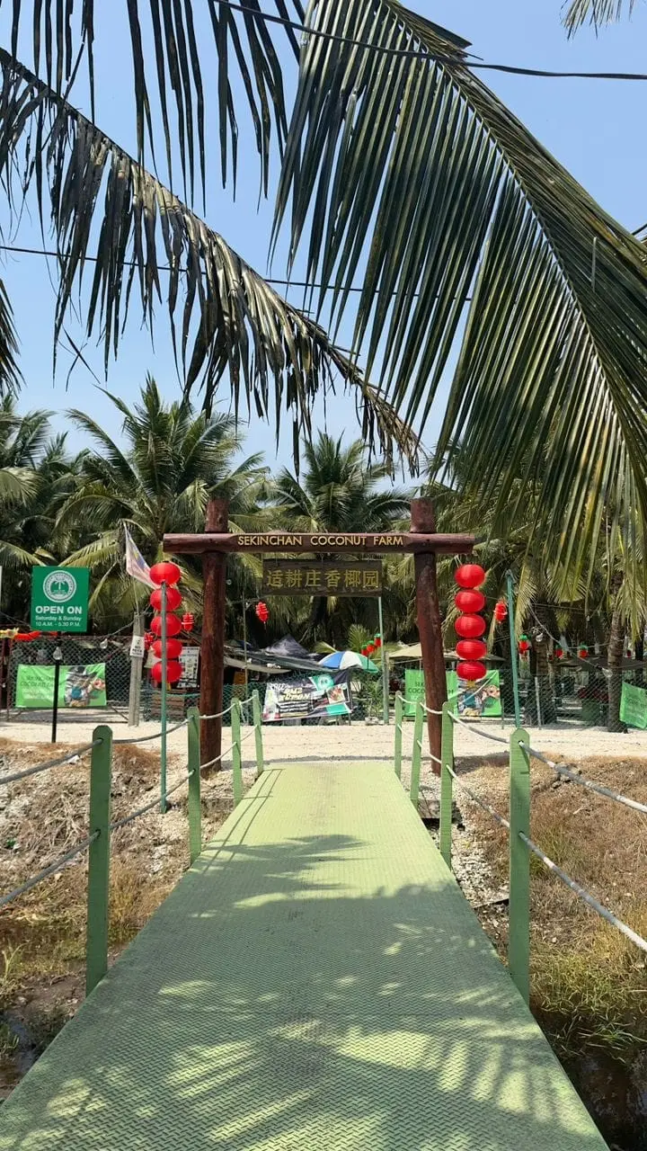 Sekinchan Coconut Farm - Farm in Sekinchan
