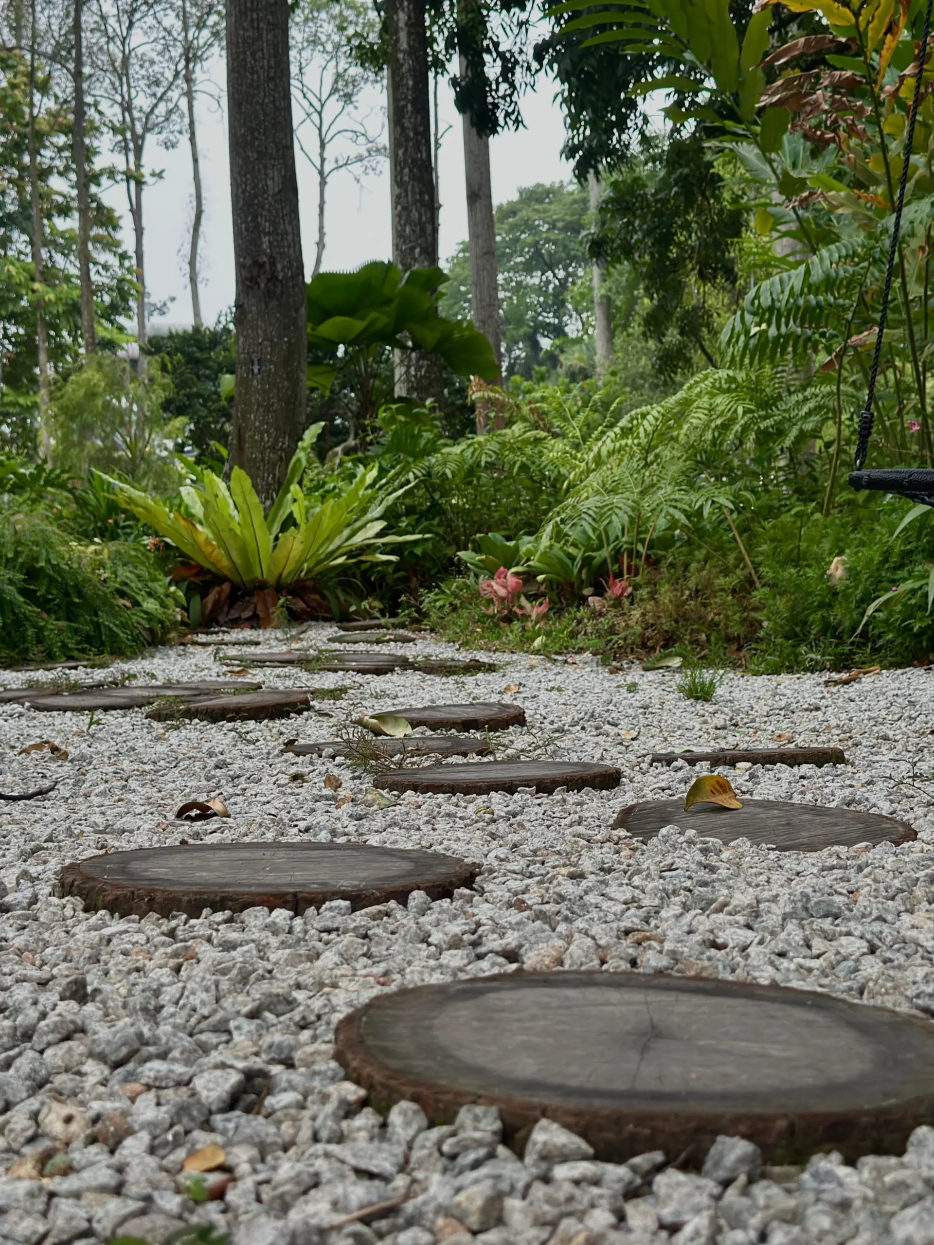Taman Anggerik Shah Alam - Garden & Park in Shah Alam
