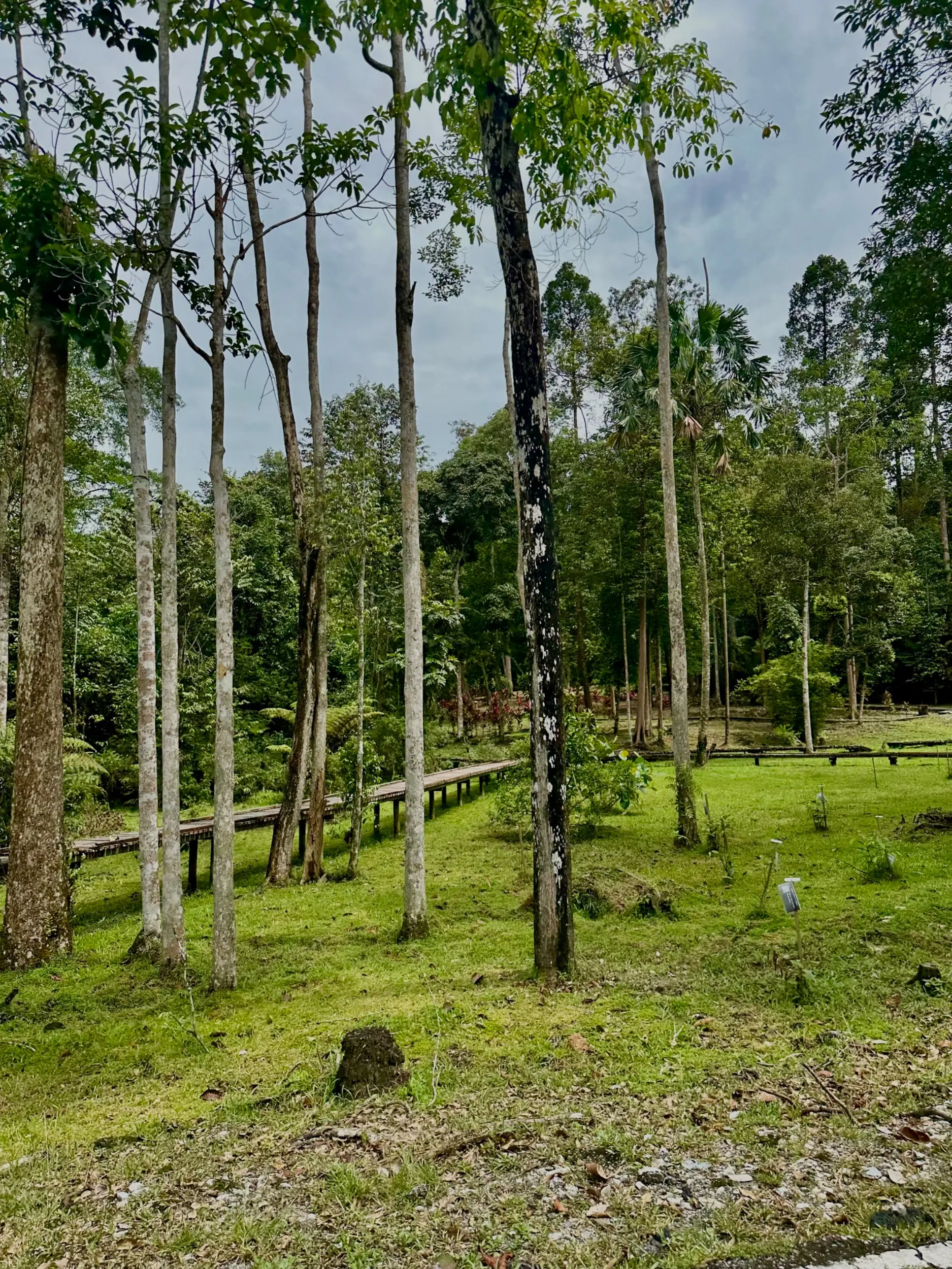 Taman Botani Negara Shah Alam photo 22