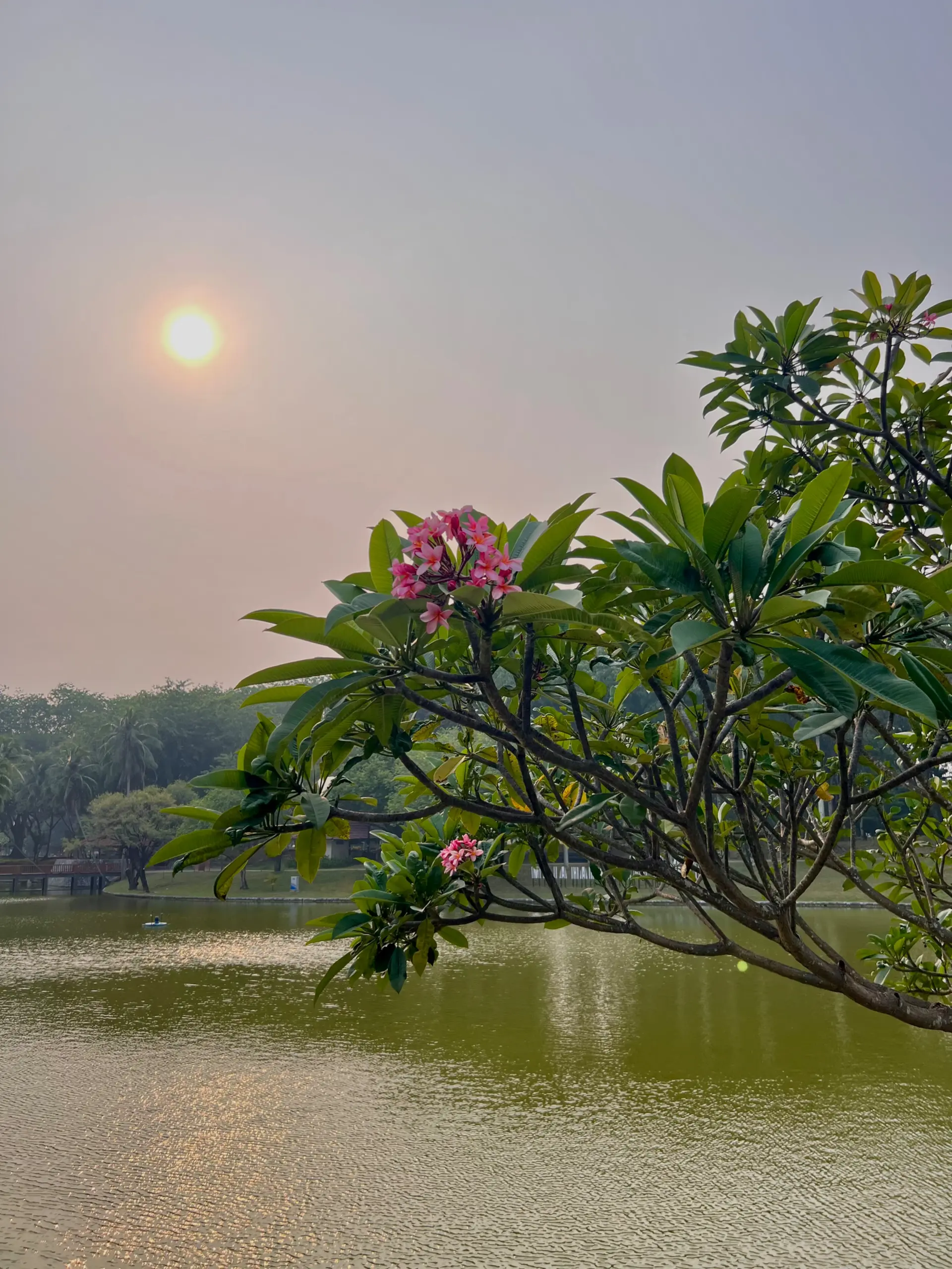 Taman Tasik Shah Alam - Garden & Park in Shah Alam