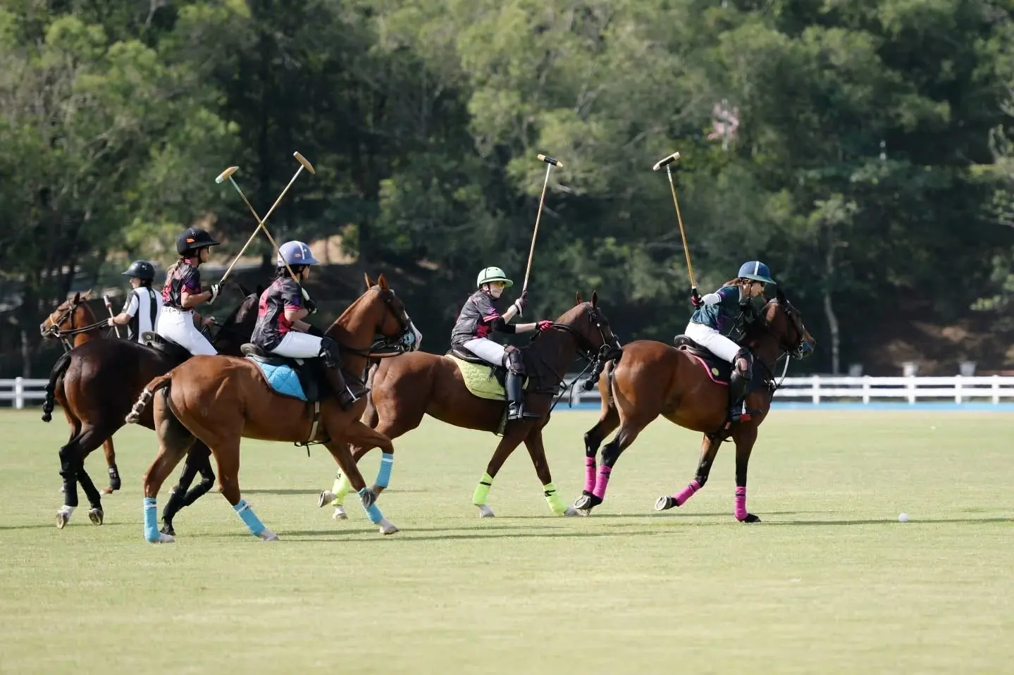 Putrajaya Equestrian Centre - Sports in Putrajaya