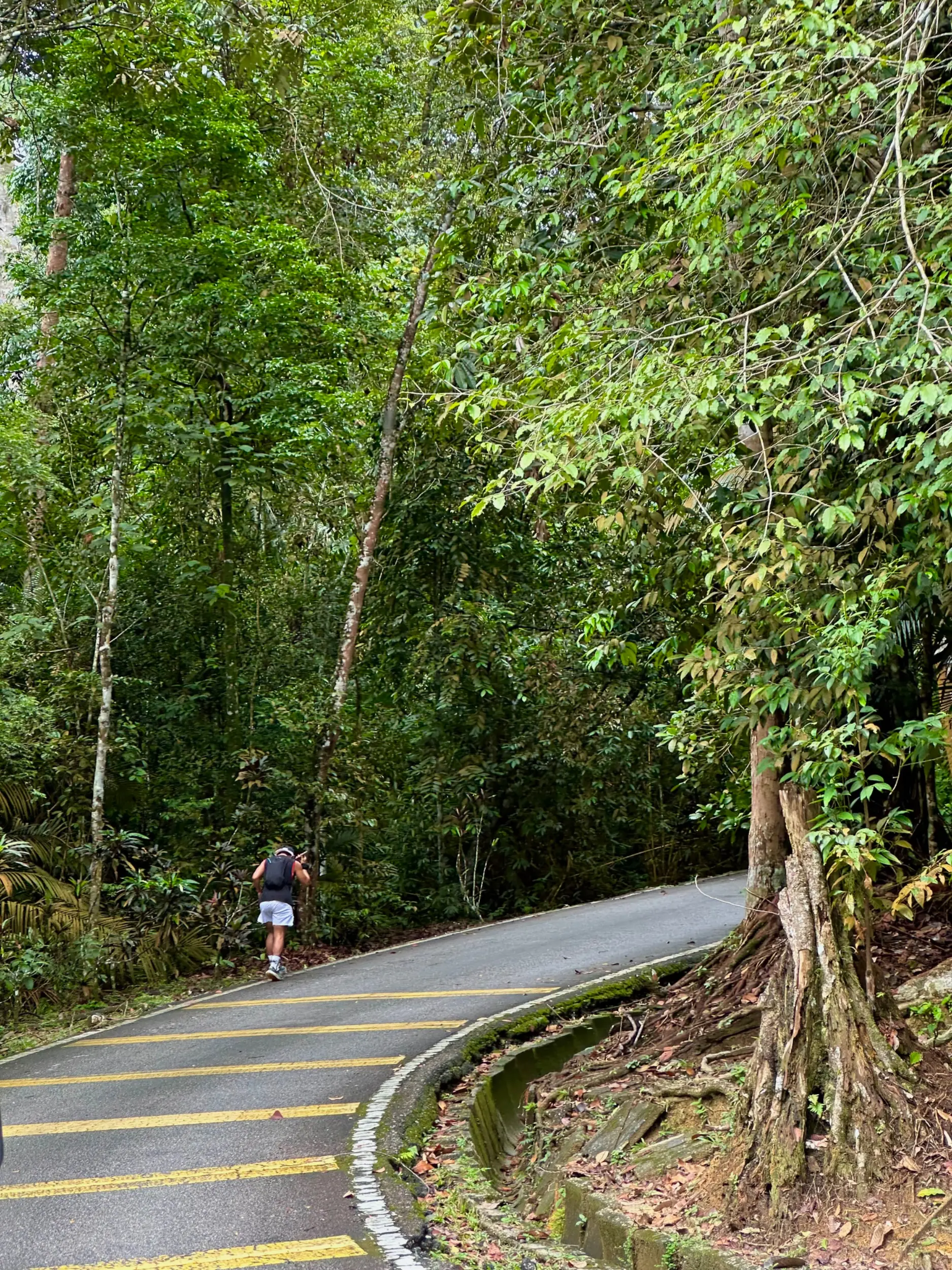 Taman Botani Negara Shah Alam photo 23