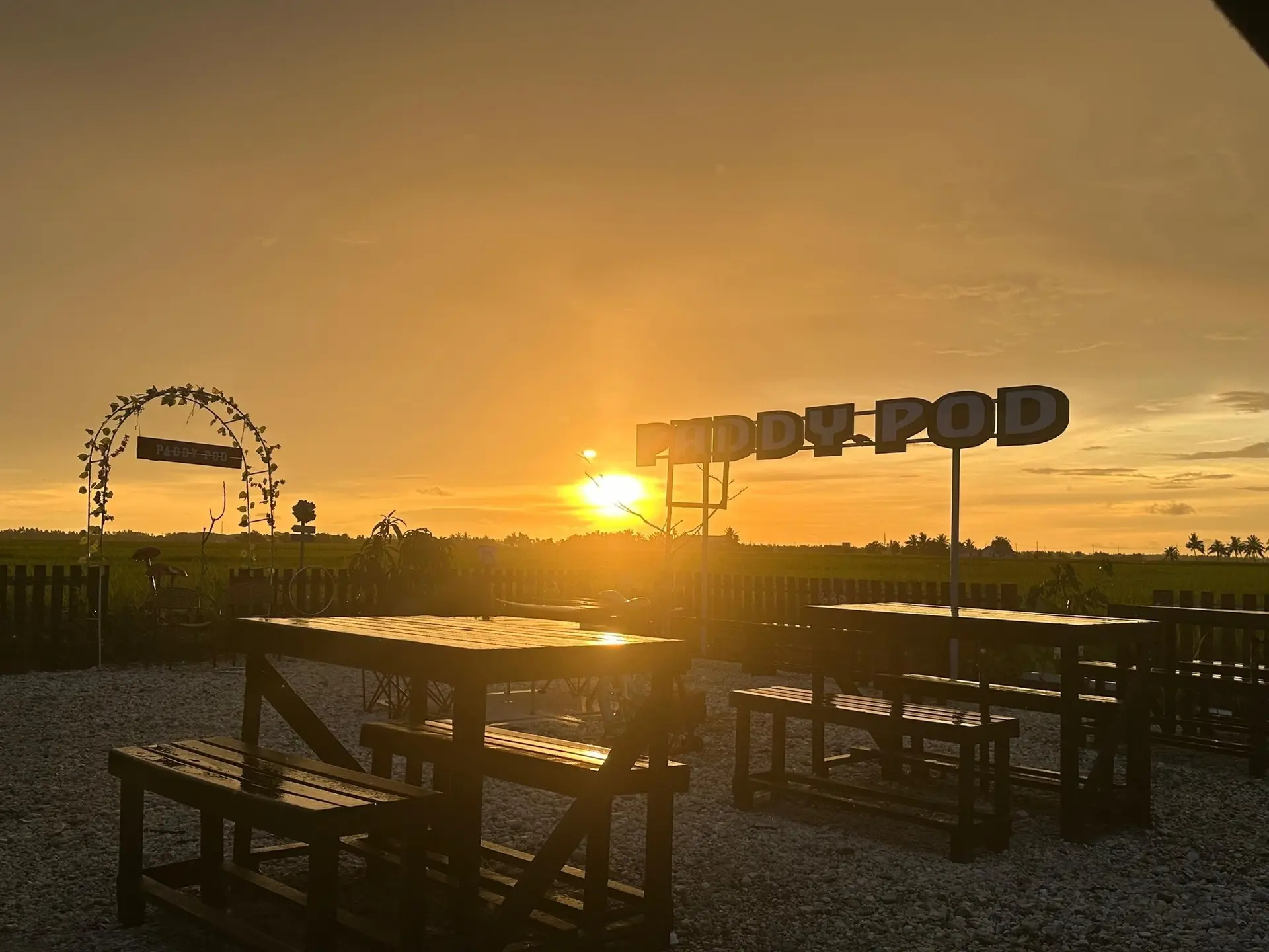 Paddy Pod Cafe - Cafe in Sekinchan