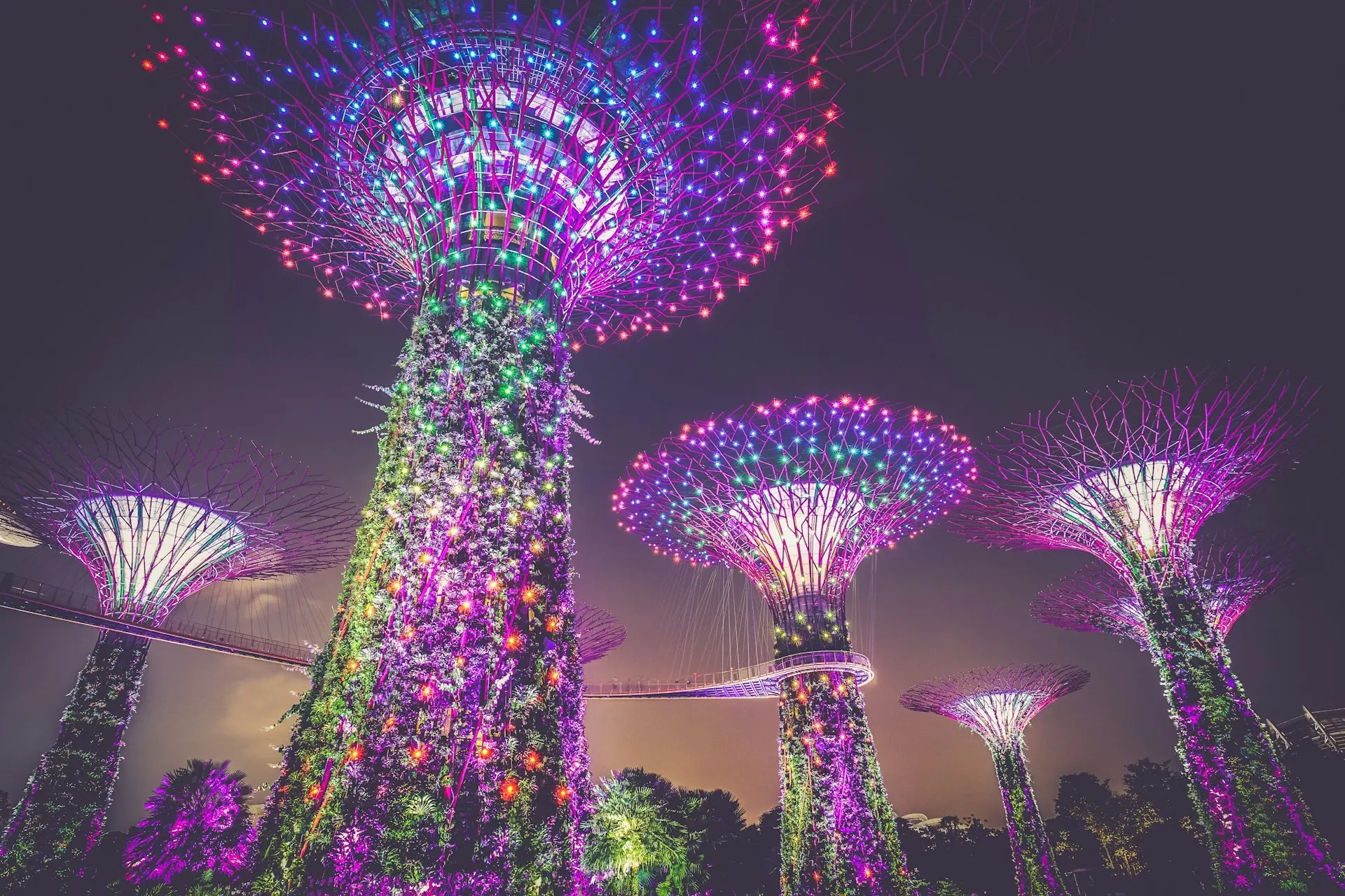 Garden Rhapsody - Garden & Park in Singapore