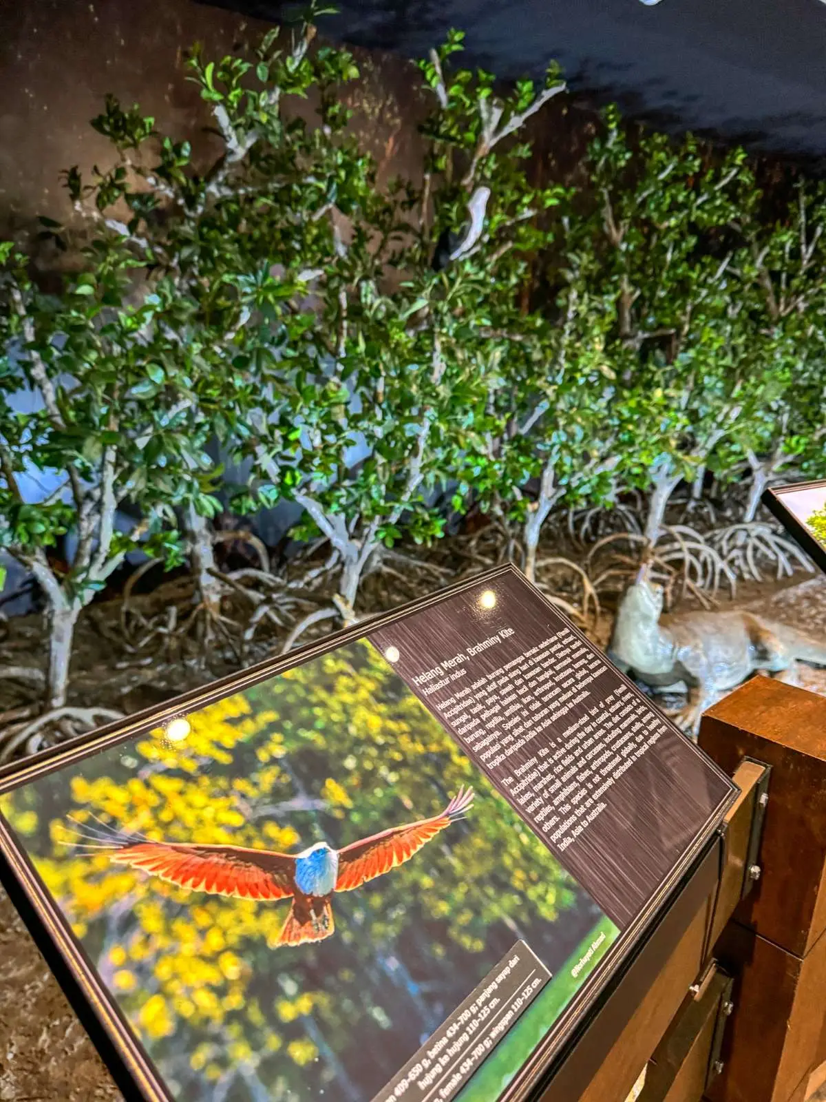Geopark Discovery Center - Theater in Langkawi 