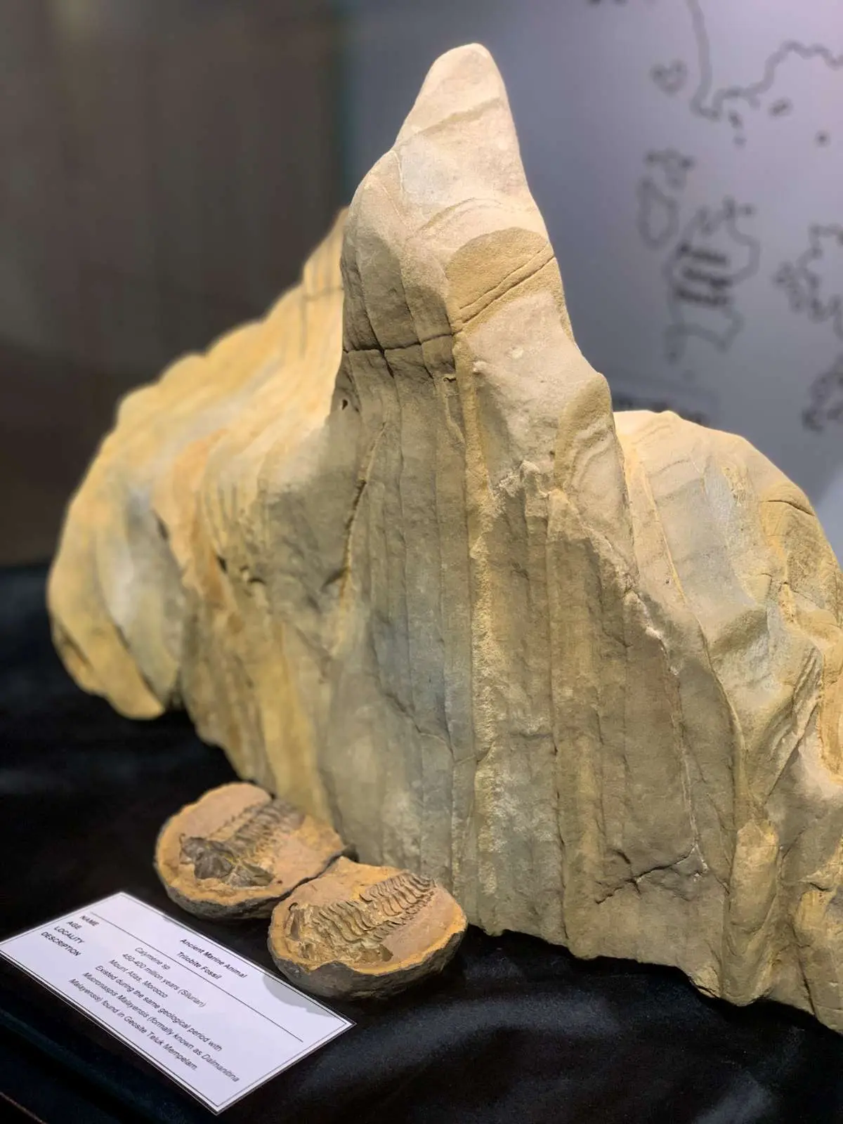 Geopark Discovery Center - Theater in Langkawi 
