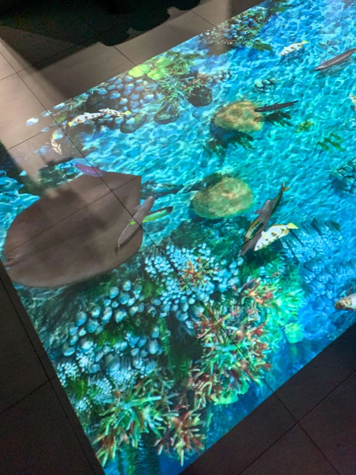 Geopark Discovery Center - Theater in Langkawi 