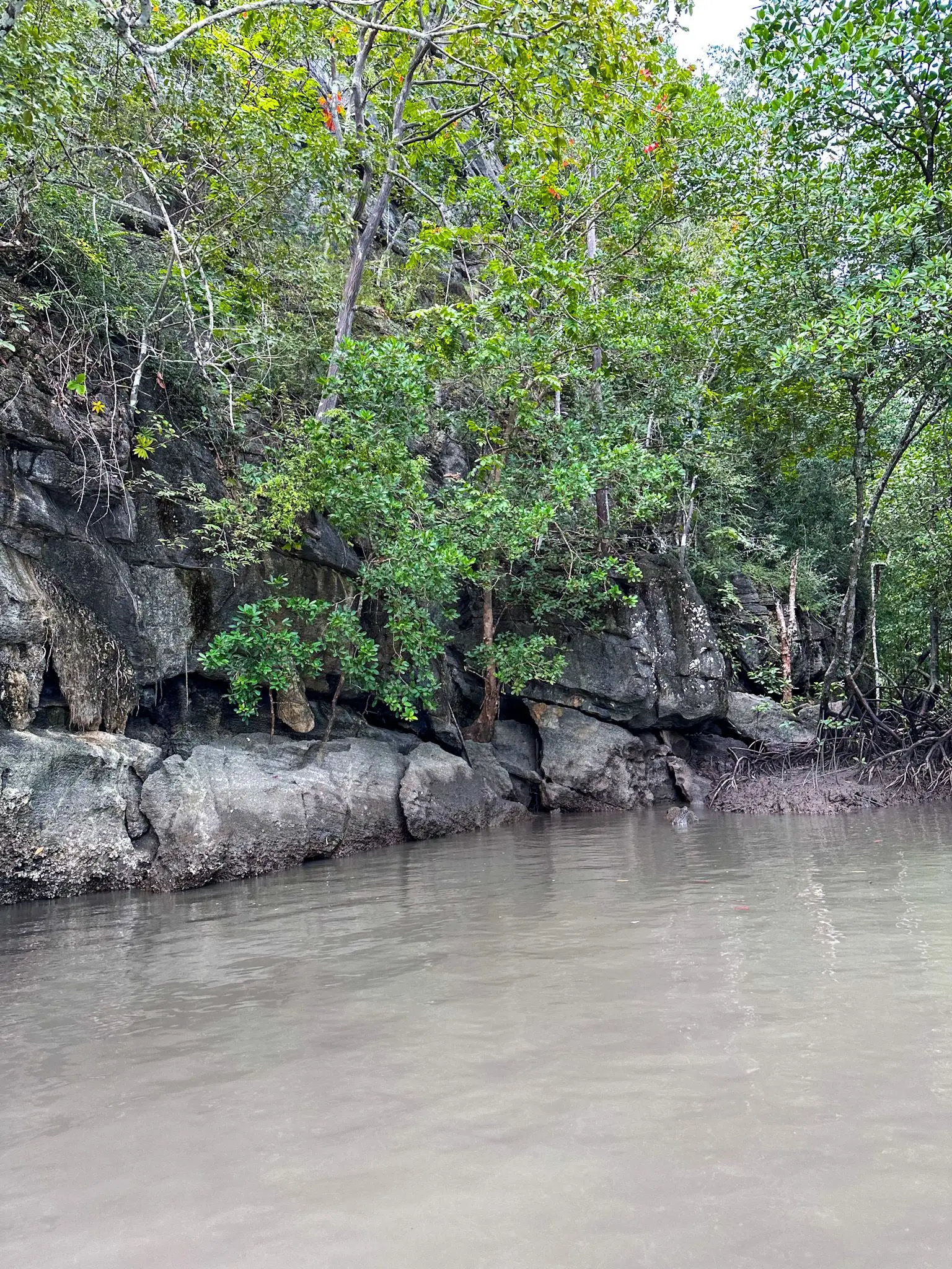 Gua Buaya