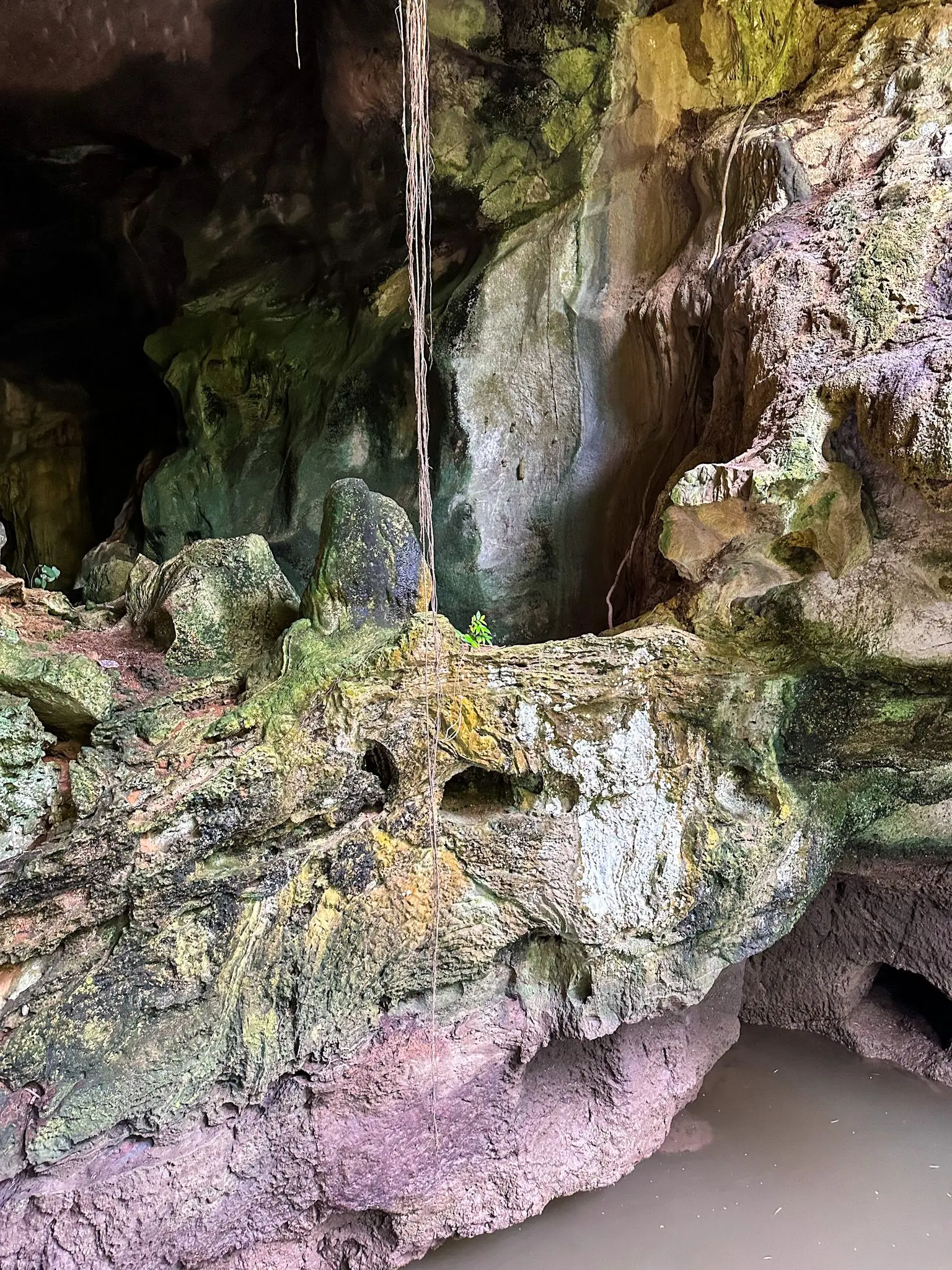 Gua Kelawar - Geosite in Langkawi