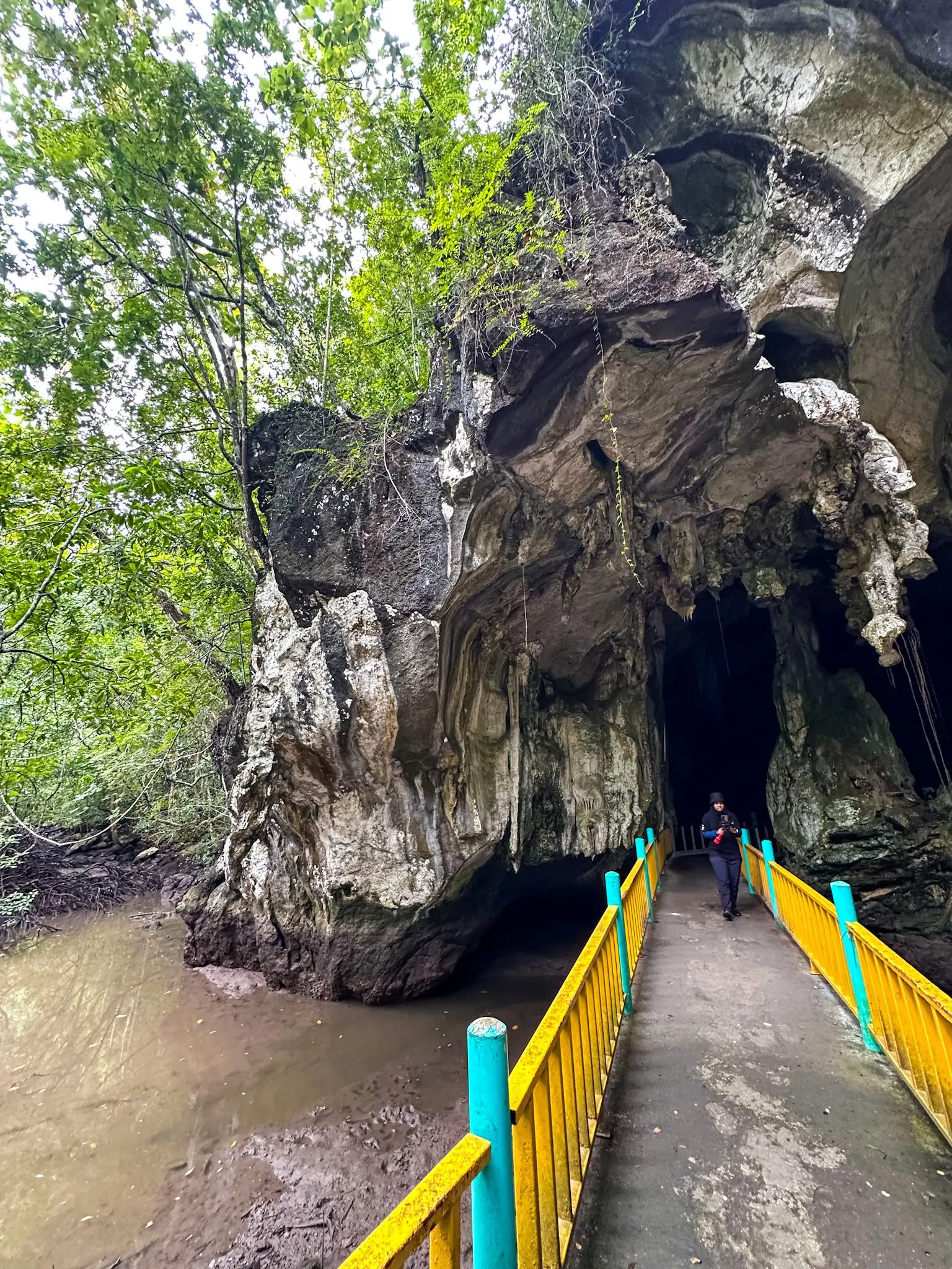 Gua Kelawar - Geosite in Langkawi