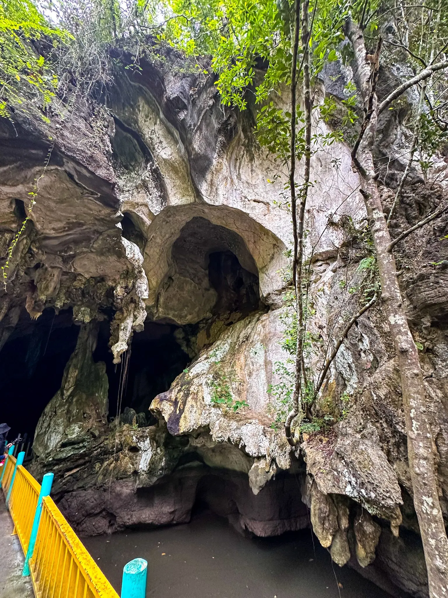 Gua Kelawar - Geosite in Langkawi