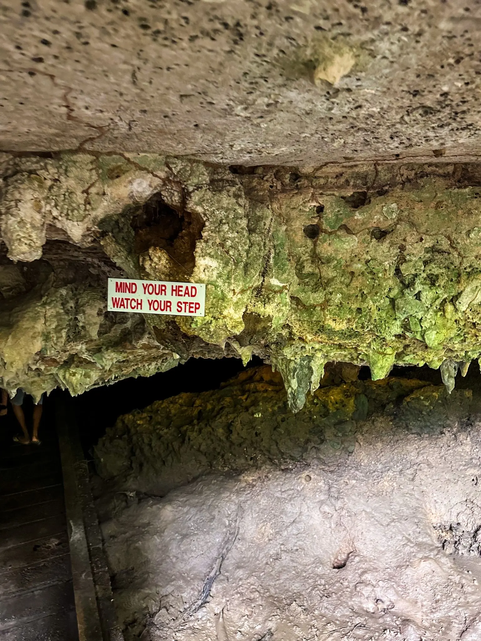 Gua Kelawar - Geosite in Langkawi