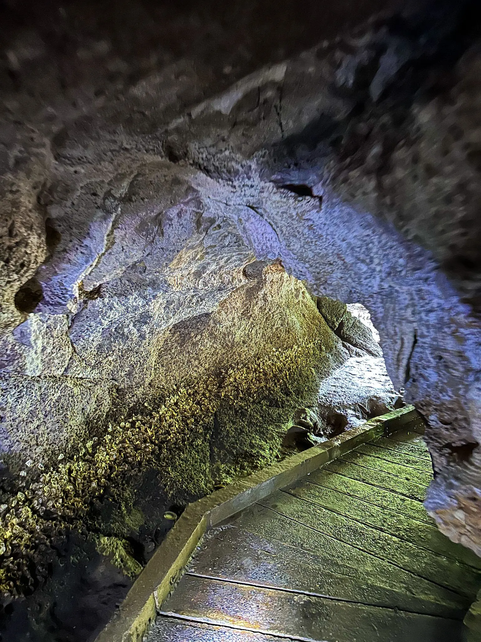 Gua Kelawar - Geosite in Langkawi