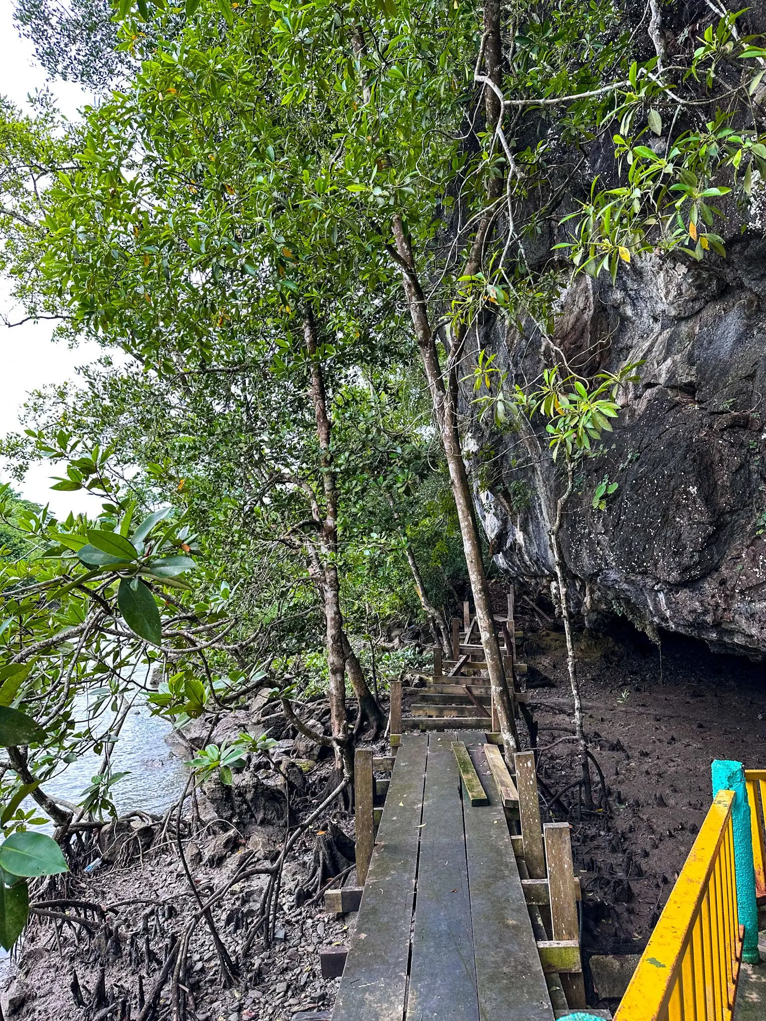 Gua Kelawar - Geosite in Langkawi