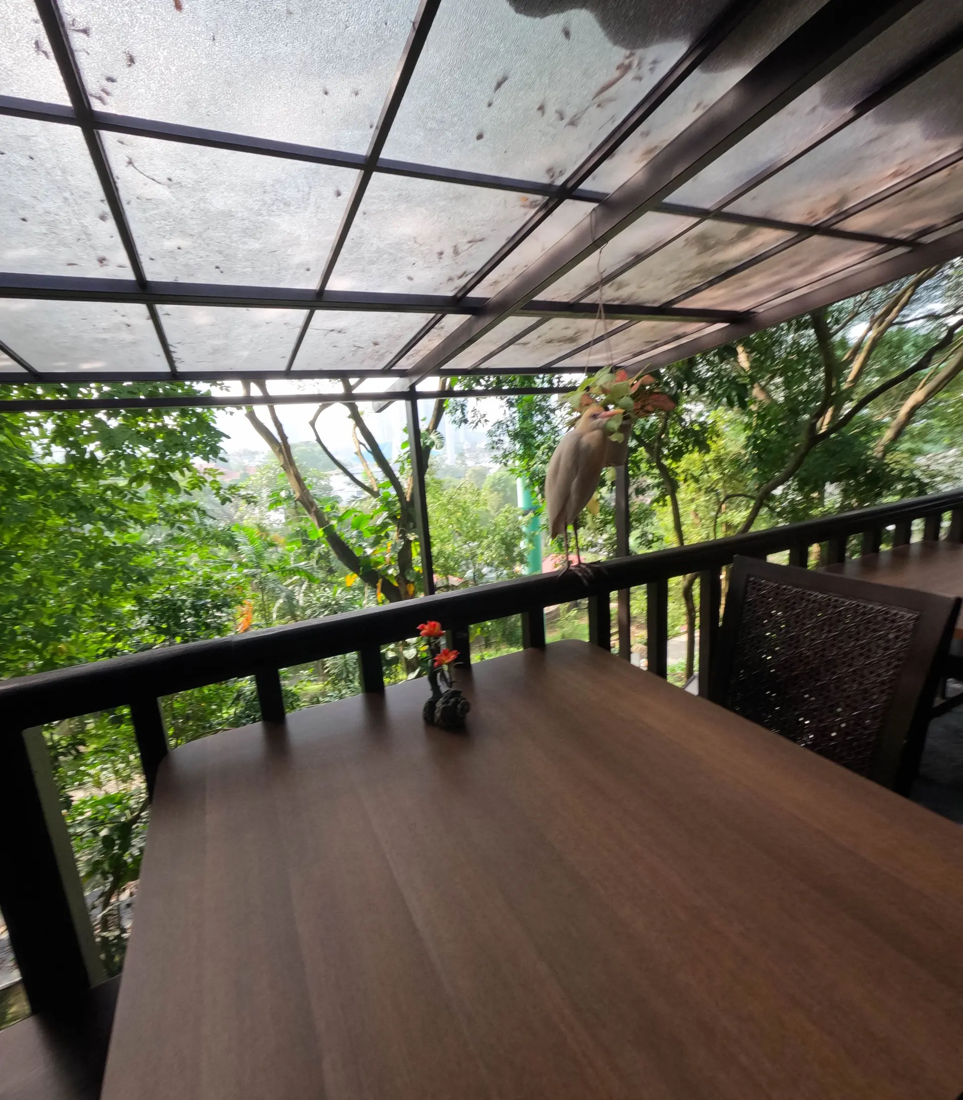 Hornbill Restaurant & Cafe