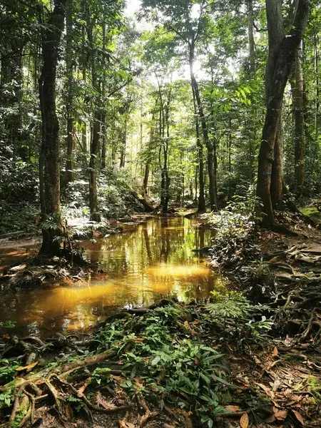 Hutan Rekreasi Sungai Tekala