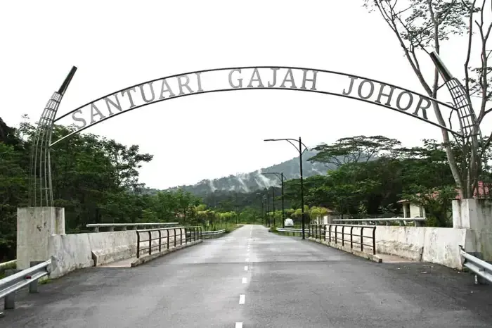 Johor Elephant Sanctuary