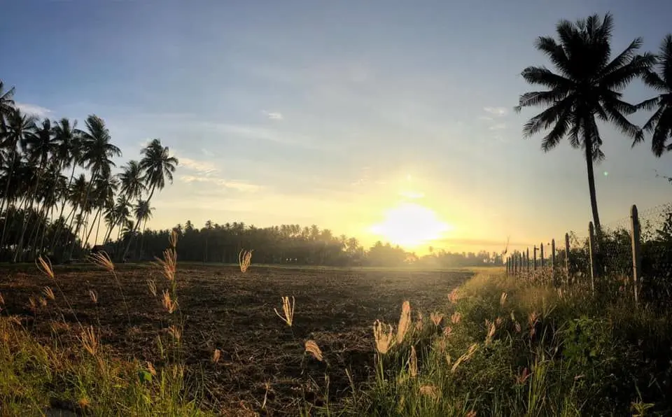Kampung Agong - Culture & Heritage in Penaga