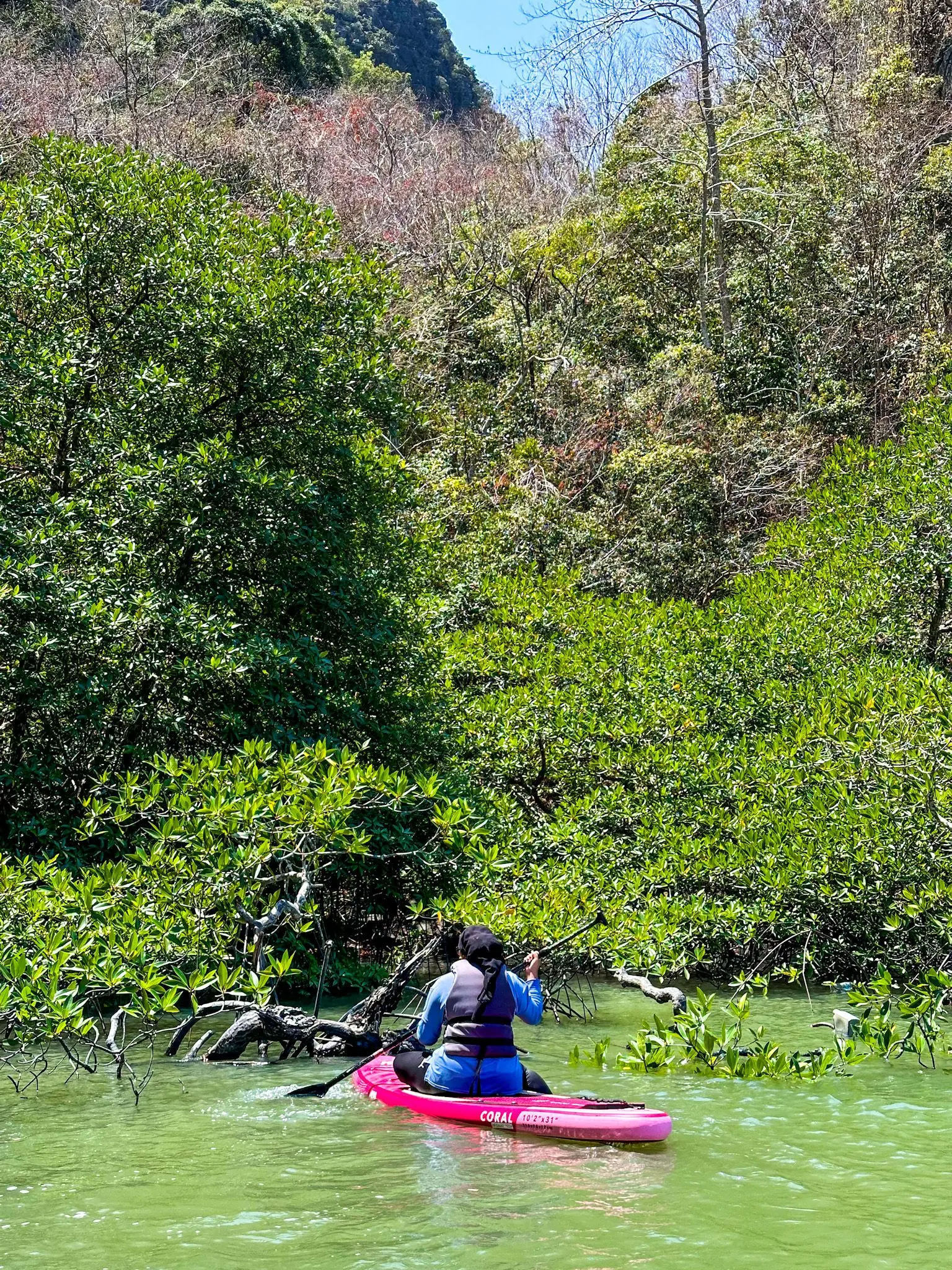 Stand-Up Paddleboarding (Coconest) photo 7