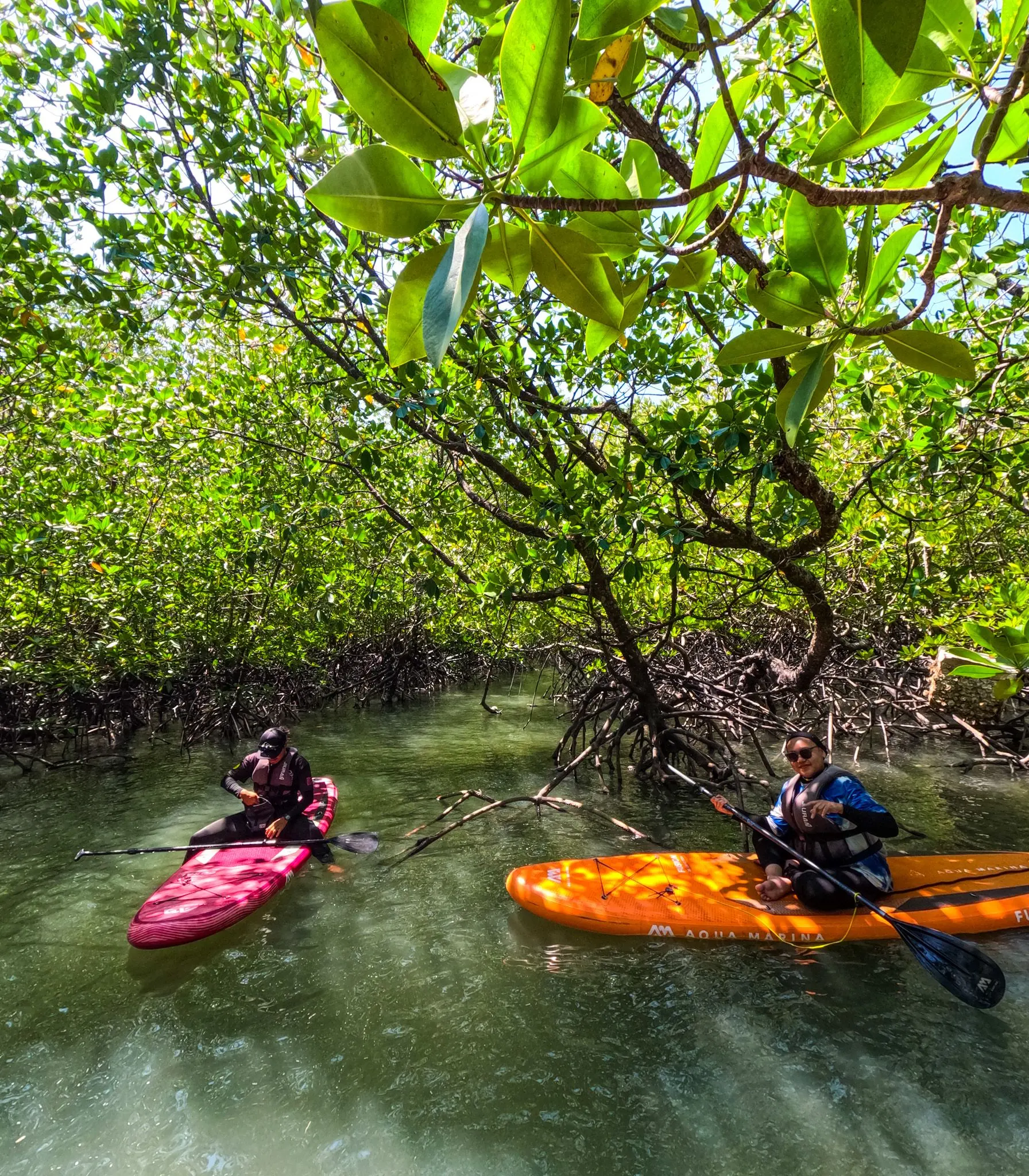 Stand-Up Paddleboarding (Coconest) photo 16