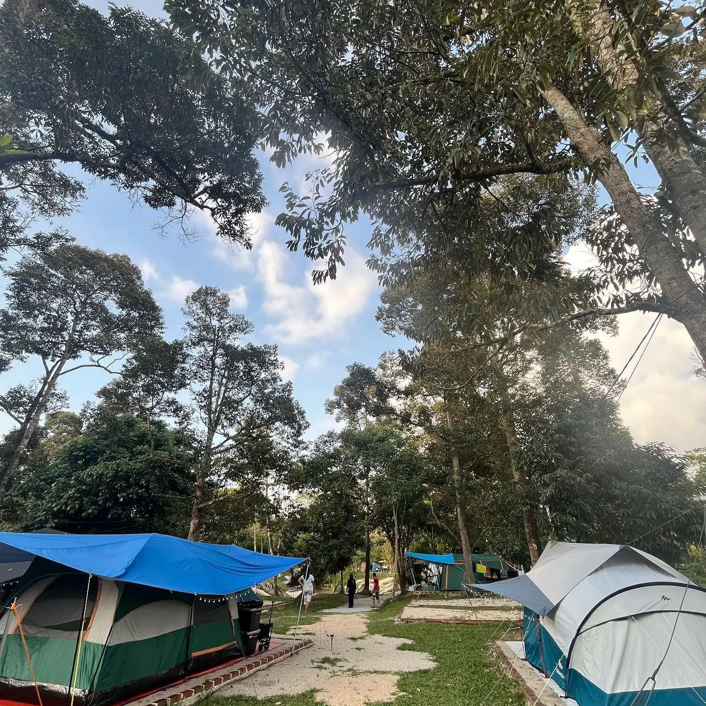 Kebun Chenta Campsite - Campsite in Mantin