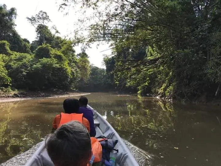 Kenong EcoCamp  - Campsite in Kuala Lipis