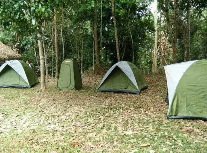Kenong EcoCamp  - Campsite in Kuala Lipis