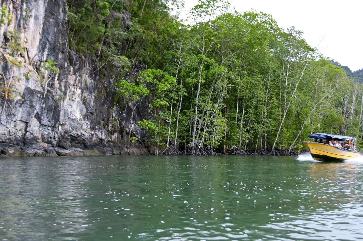 Kilim UNESCO Geoforest Park - Nature & Park in Langkawi