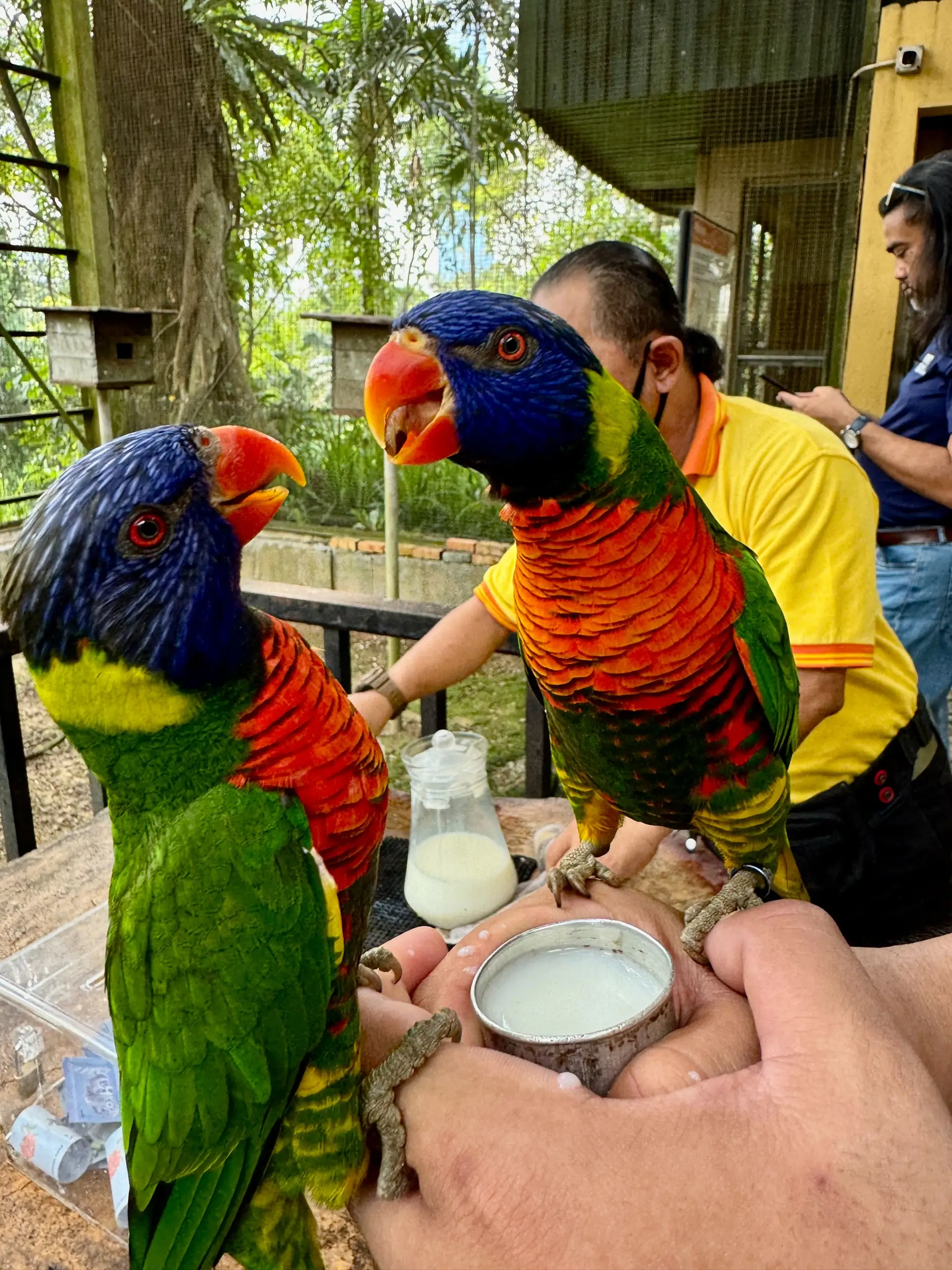 KL Bird Park