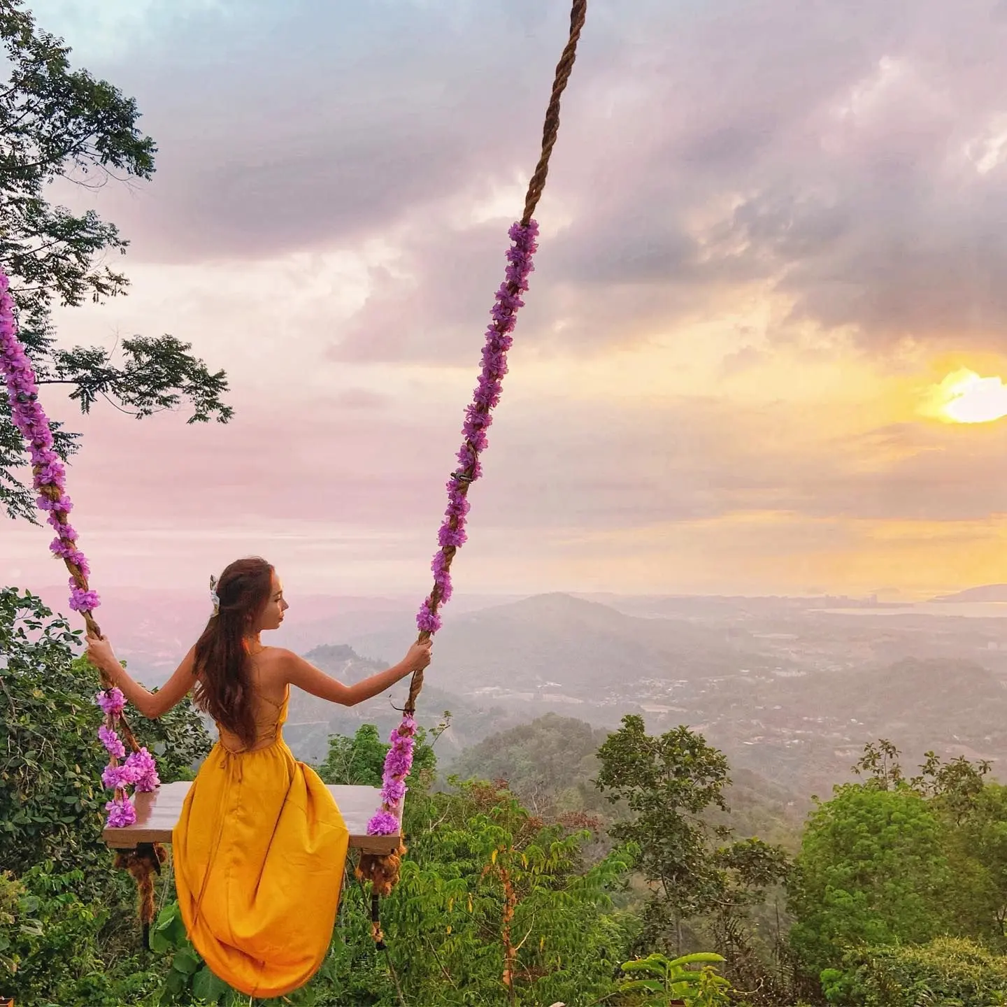 Kokol Hill Elf - Nature in Kota Kinabalu
