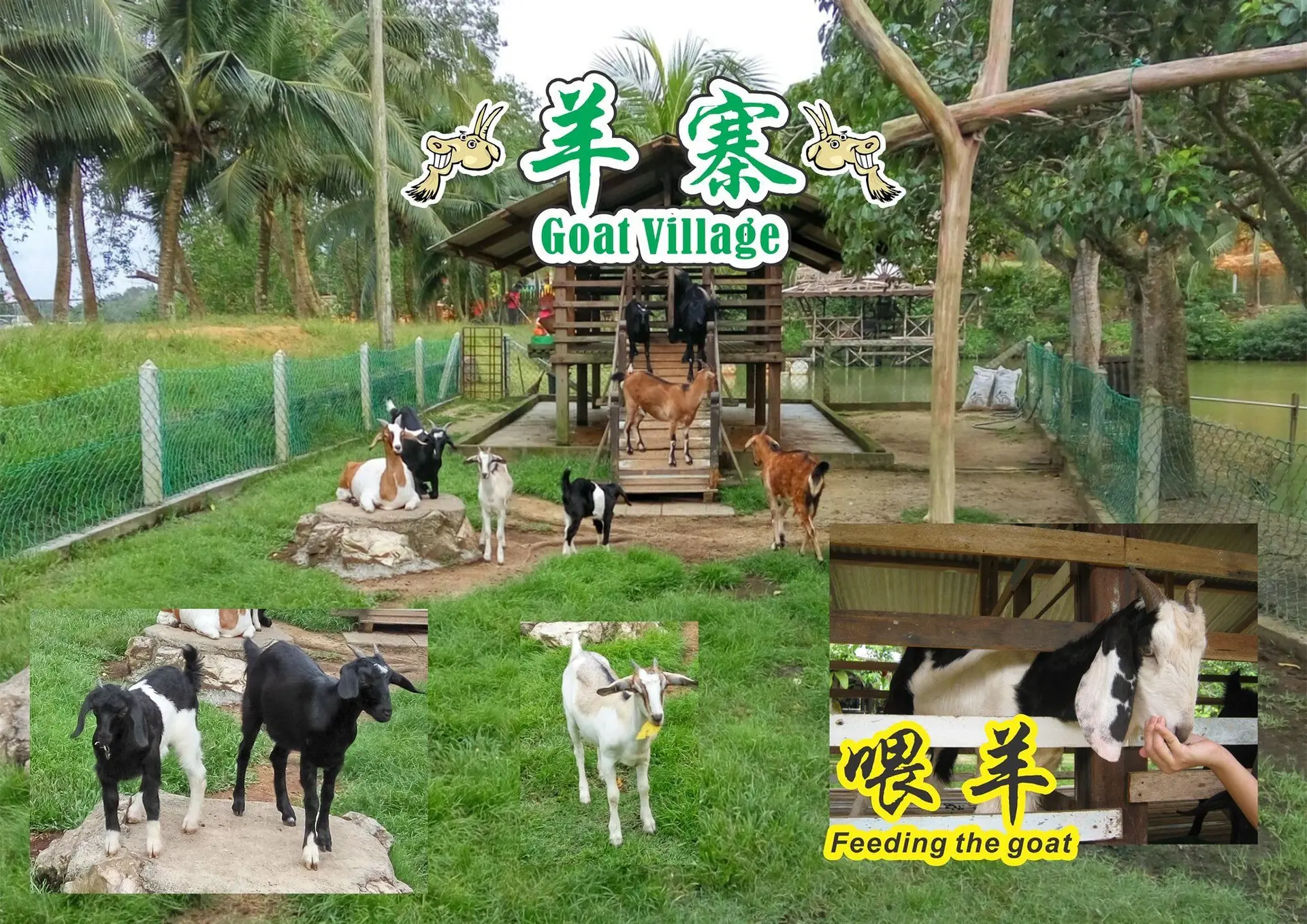 Kota Tinggi Firefly Park - Nature & Park in Kota Tinggi