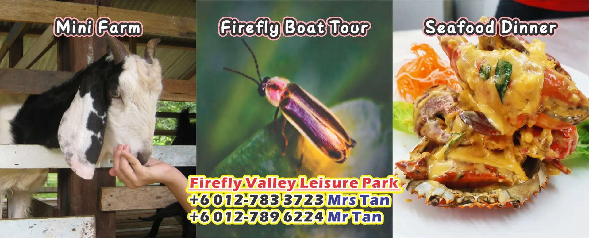 Kota Tinggi Firefly Valley Leisure Park - Nature & Park in Kota Tinggi