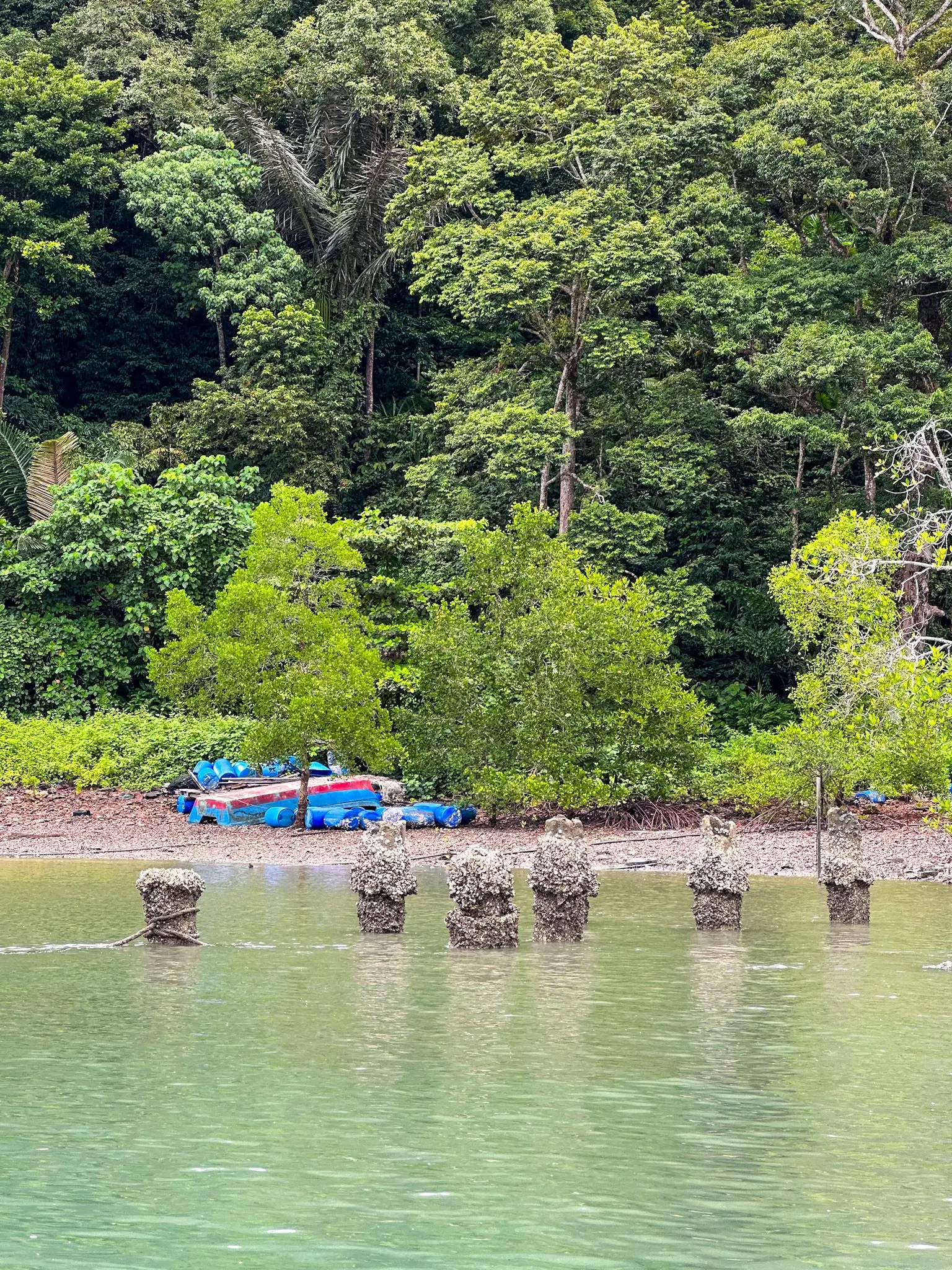Kubang Badak BioGeo Trail - Nature & Park in Langkawi