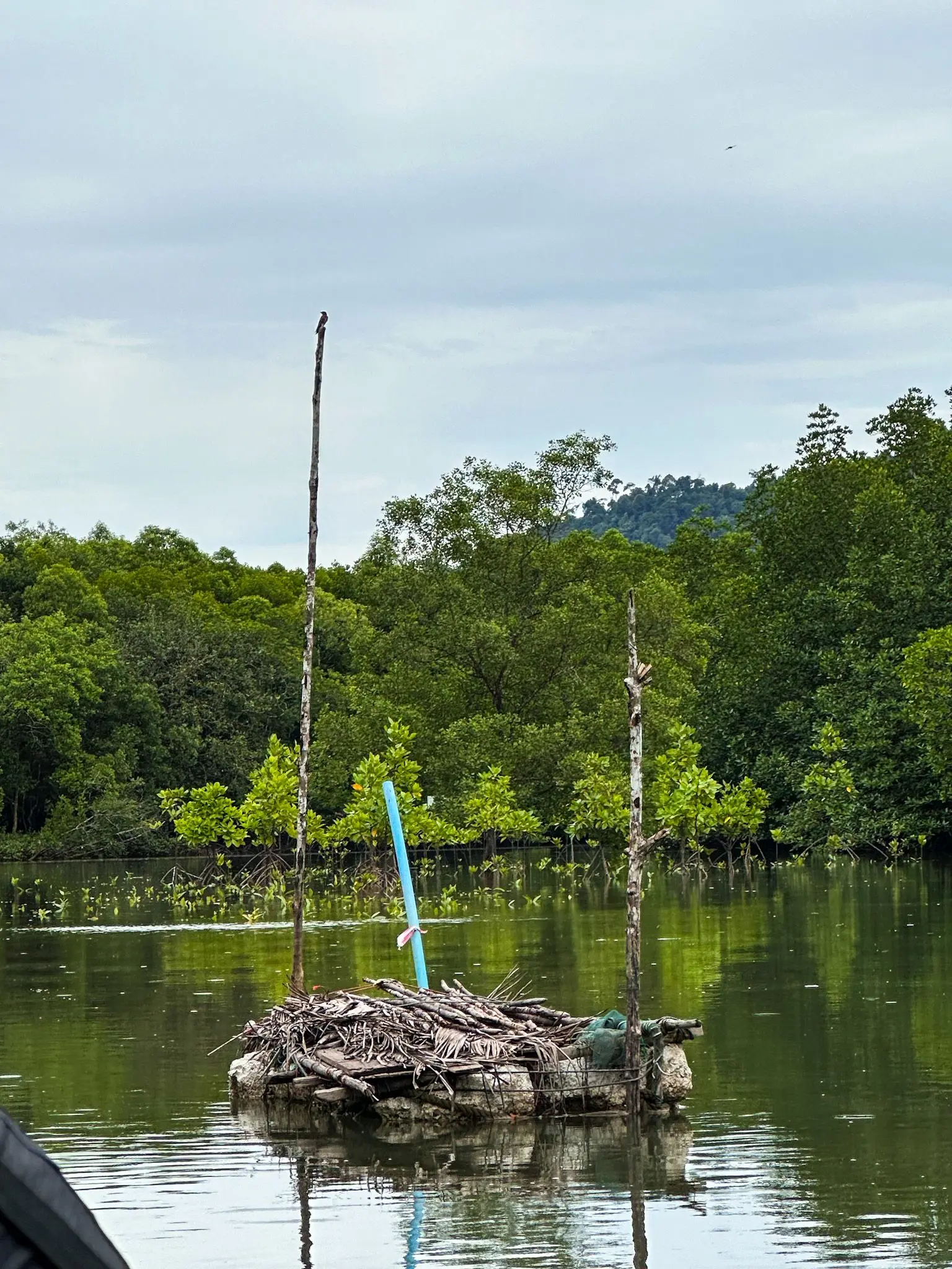 Kubang Badak BioGeo Trail - Nature & Park in Langkawi
