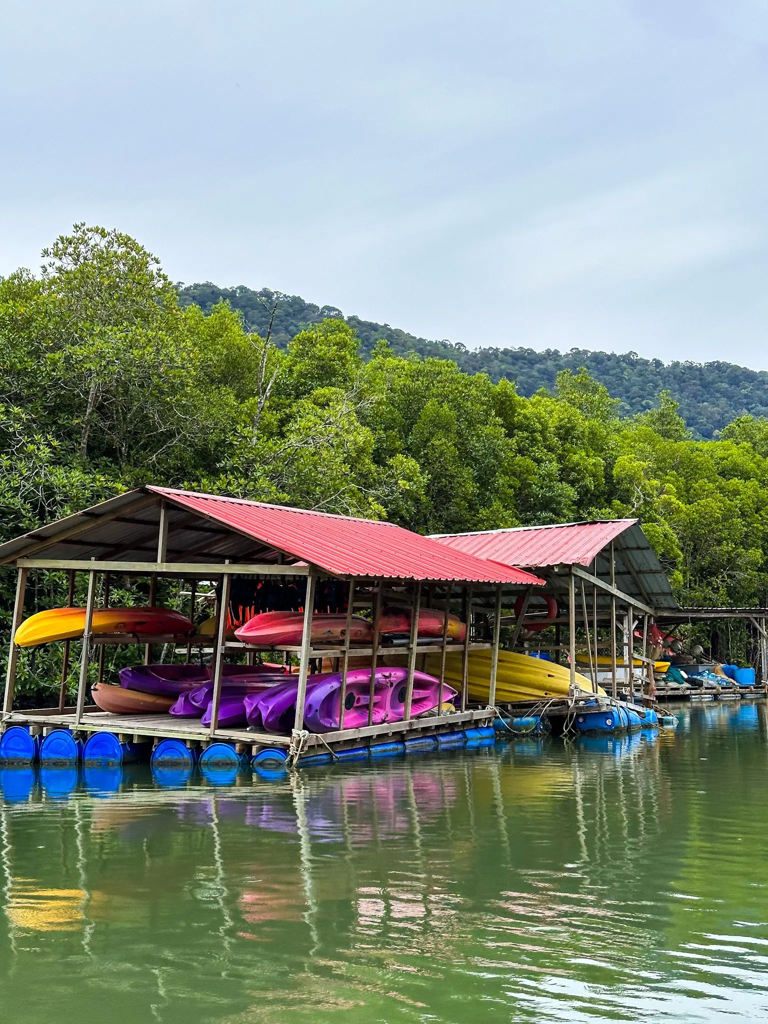 Kubang Badak BioGeo Trail - Nature & Park in Langkawi