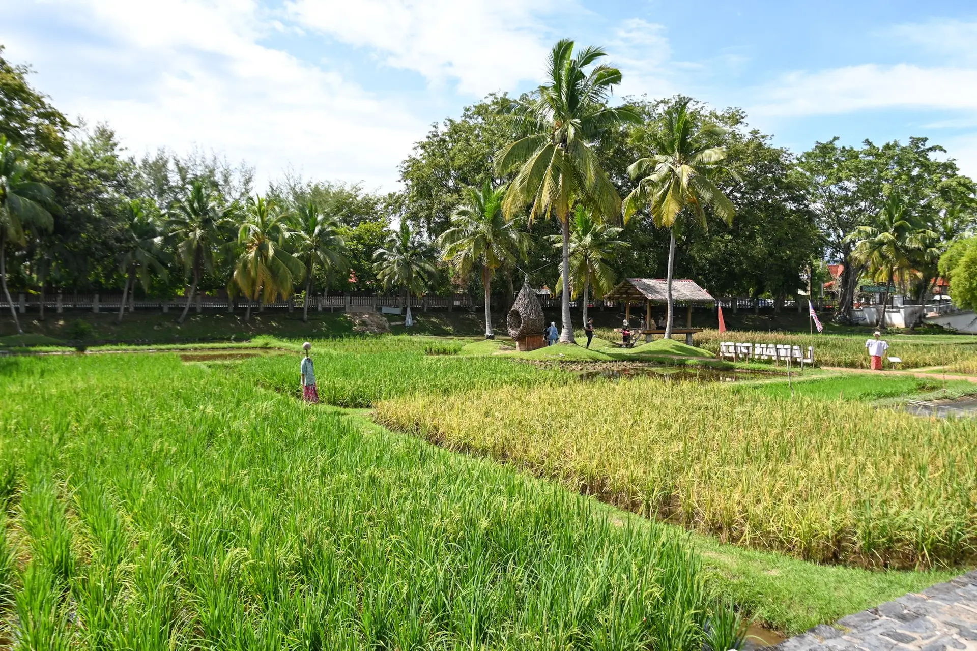 Laman Padi Langkawi - Museum in Langkawi