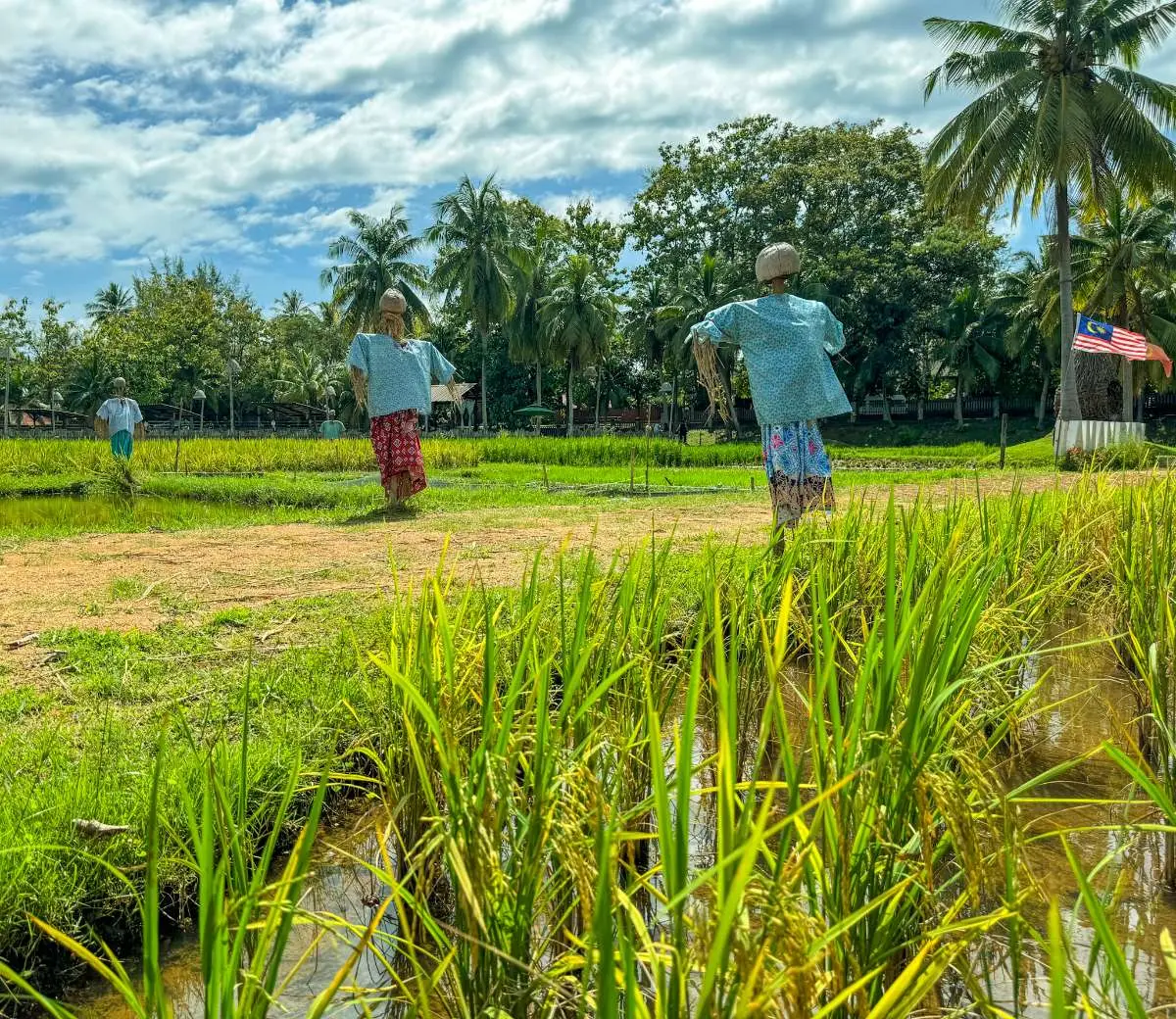 Laman Padi Langkawi - Museum in Langkawi