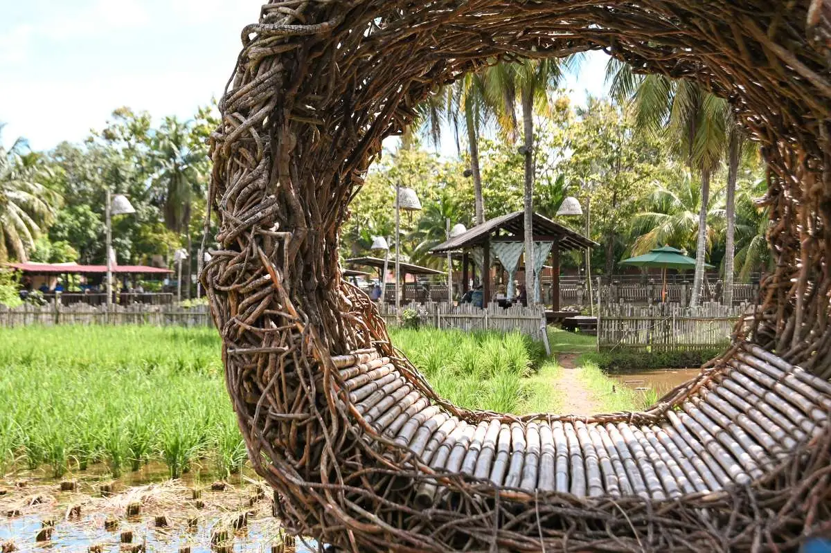 Laman Padi Langkawi