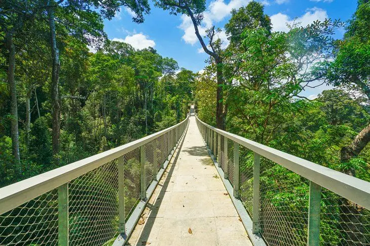 Langur Way Canopy Walk - Nature & Park in Penang