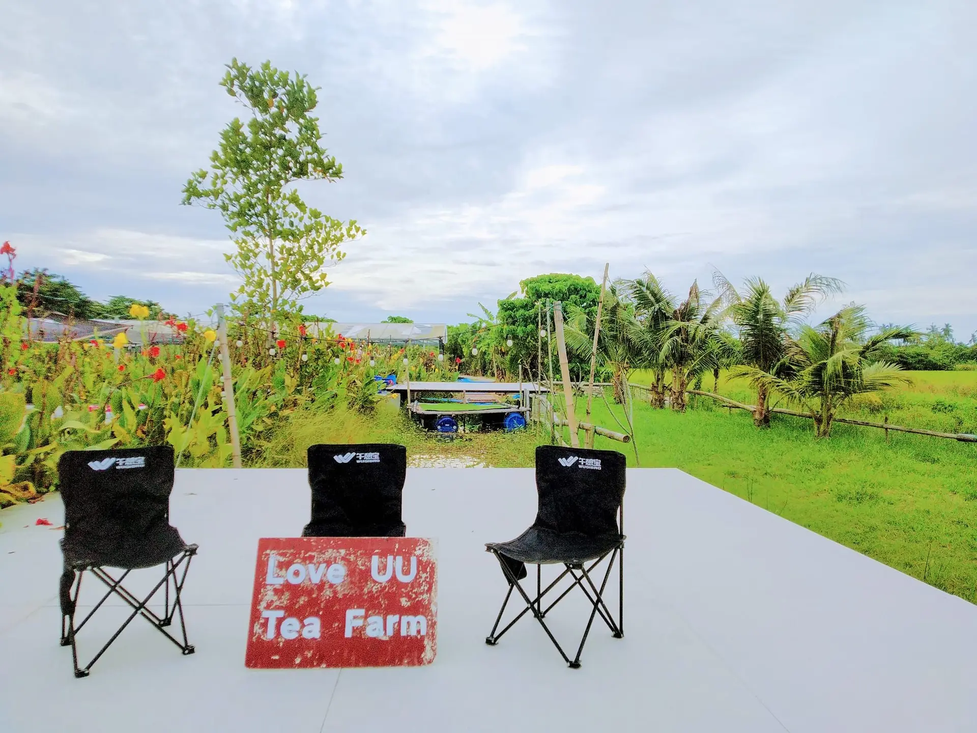 Loveuu Teafarm  - Farm in Balik Pulau