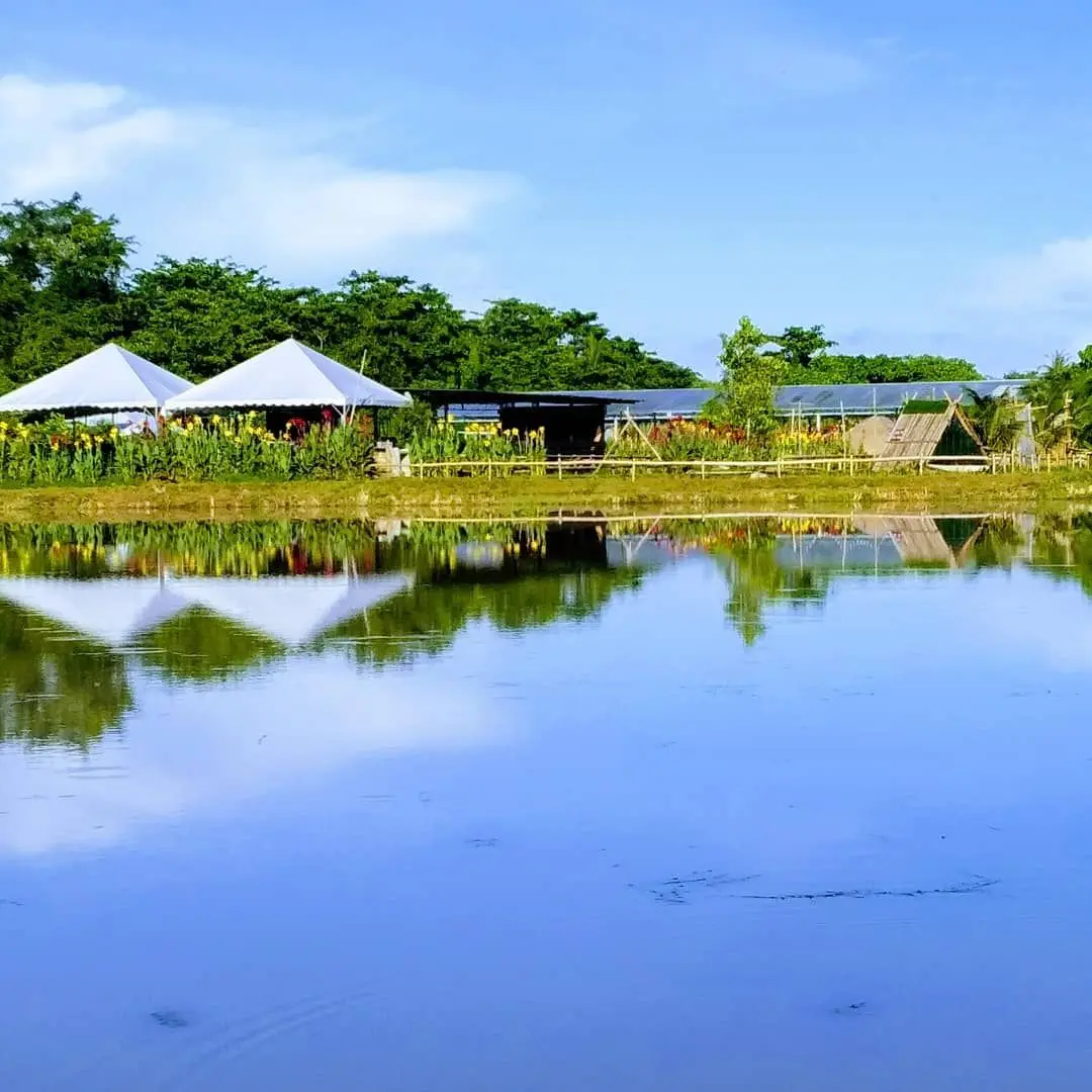 Loveuu Teafarm  - Farm in Balik Pulau