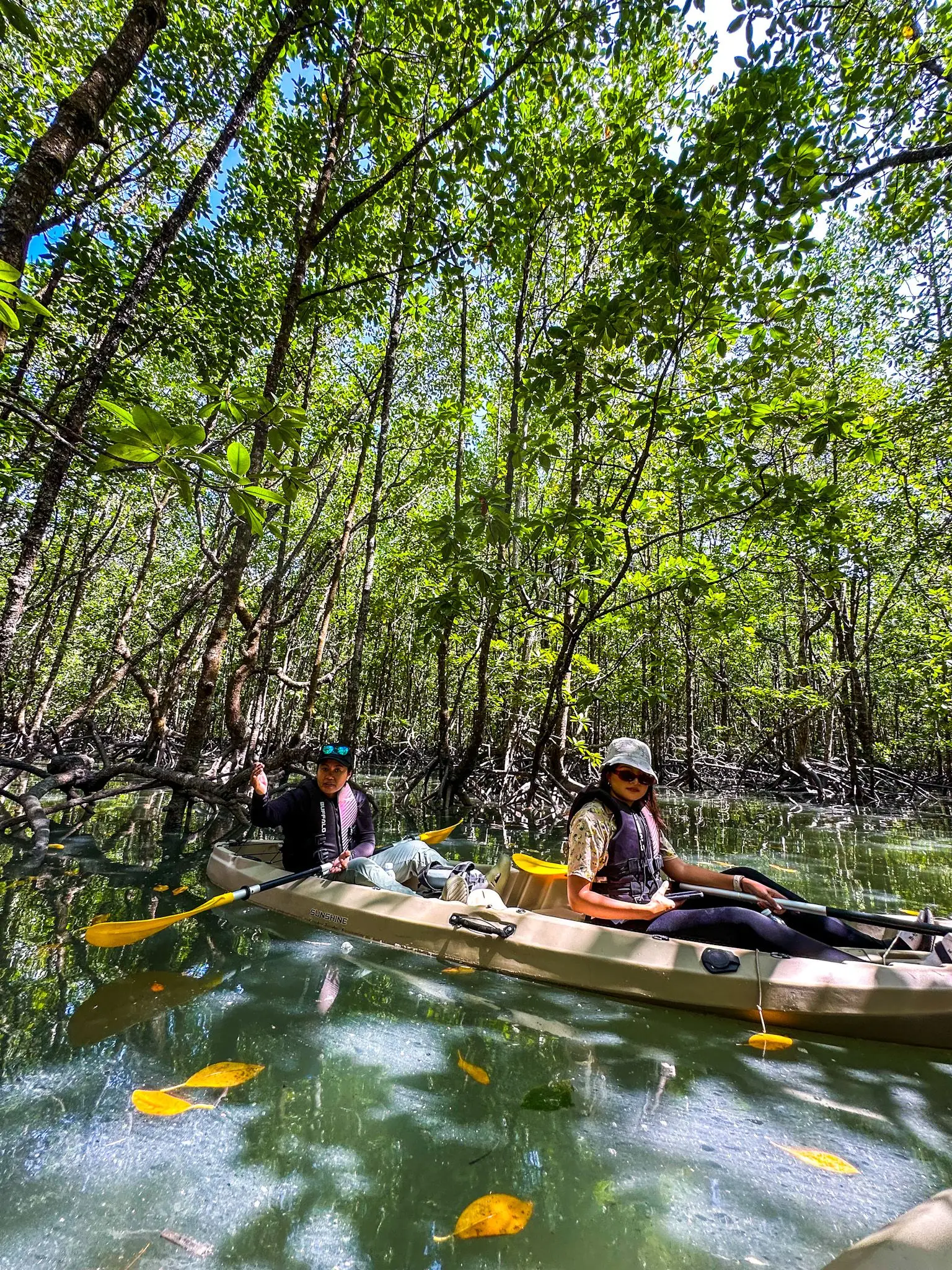 Mangrove Trail Kayak