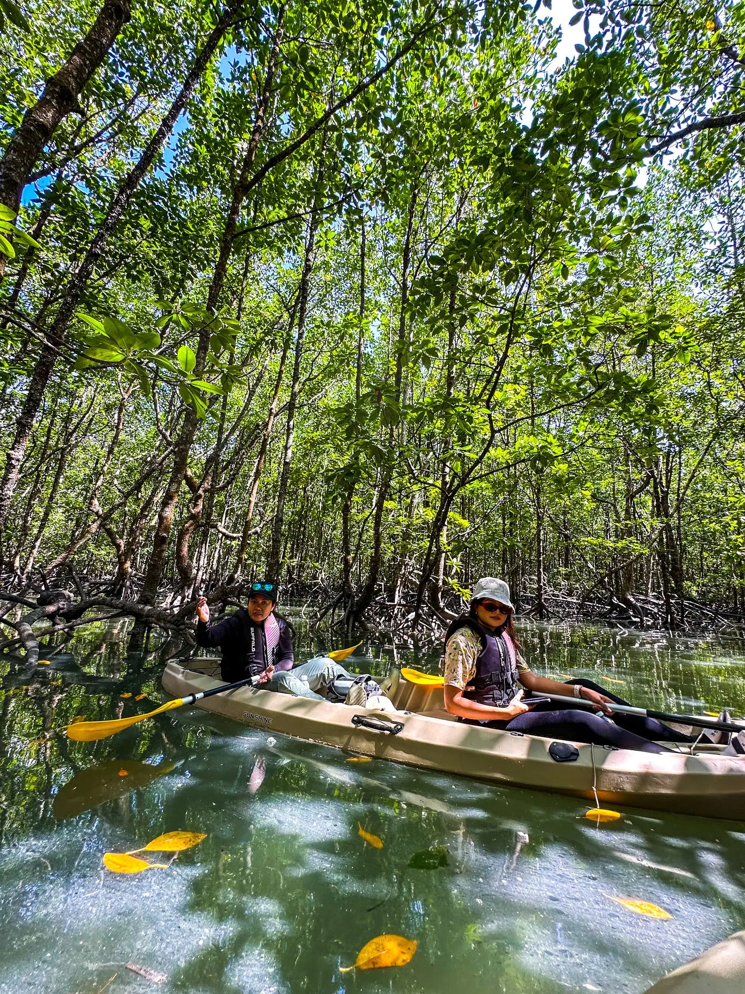 Mangrove Trail Kayak - Boat Tour & Water Sport in Langkawi